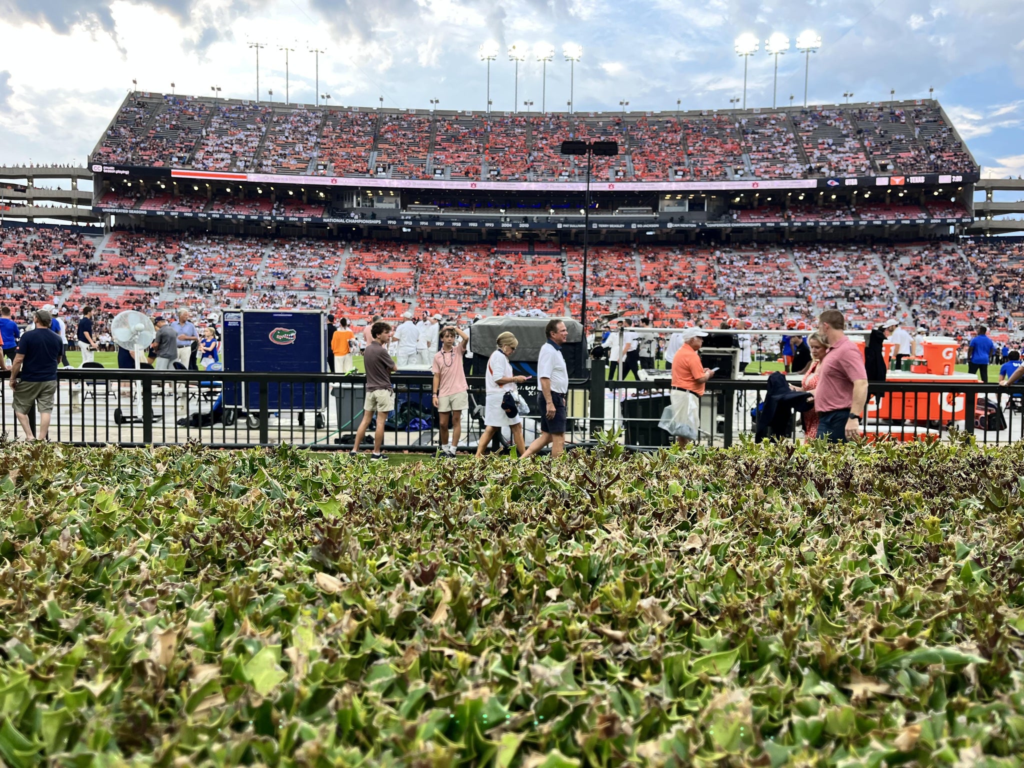 Real Fan View taken from Section 29 at Jordan-Hare Stadium by Andrew M