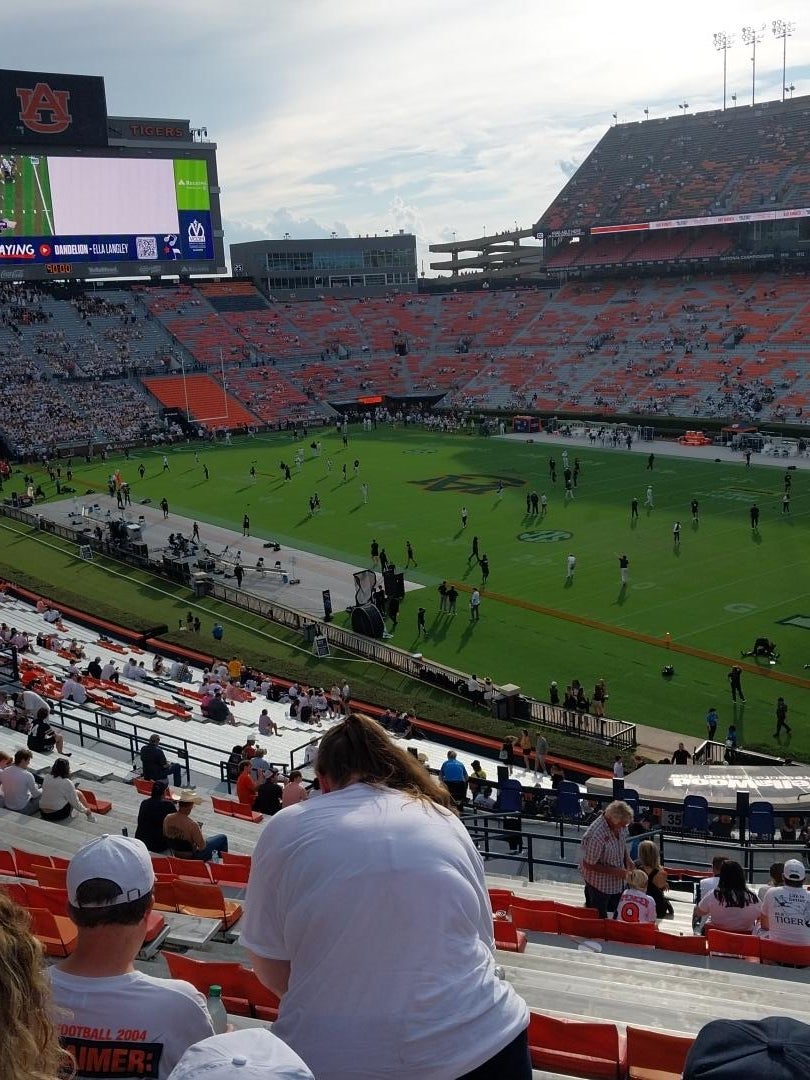 Real Fan View taken from Section 35 at Jordan-Hare Stadium by John M