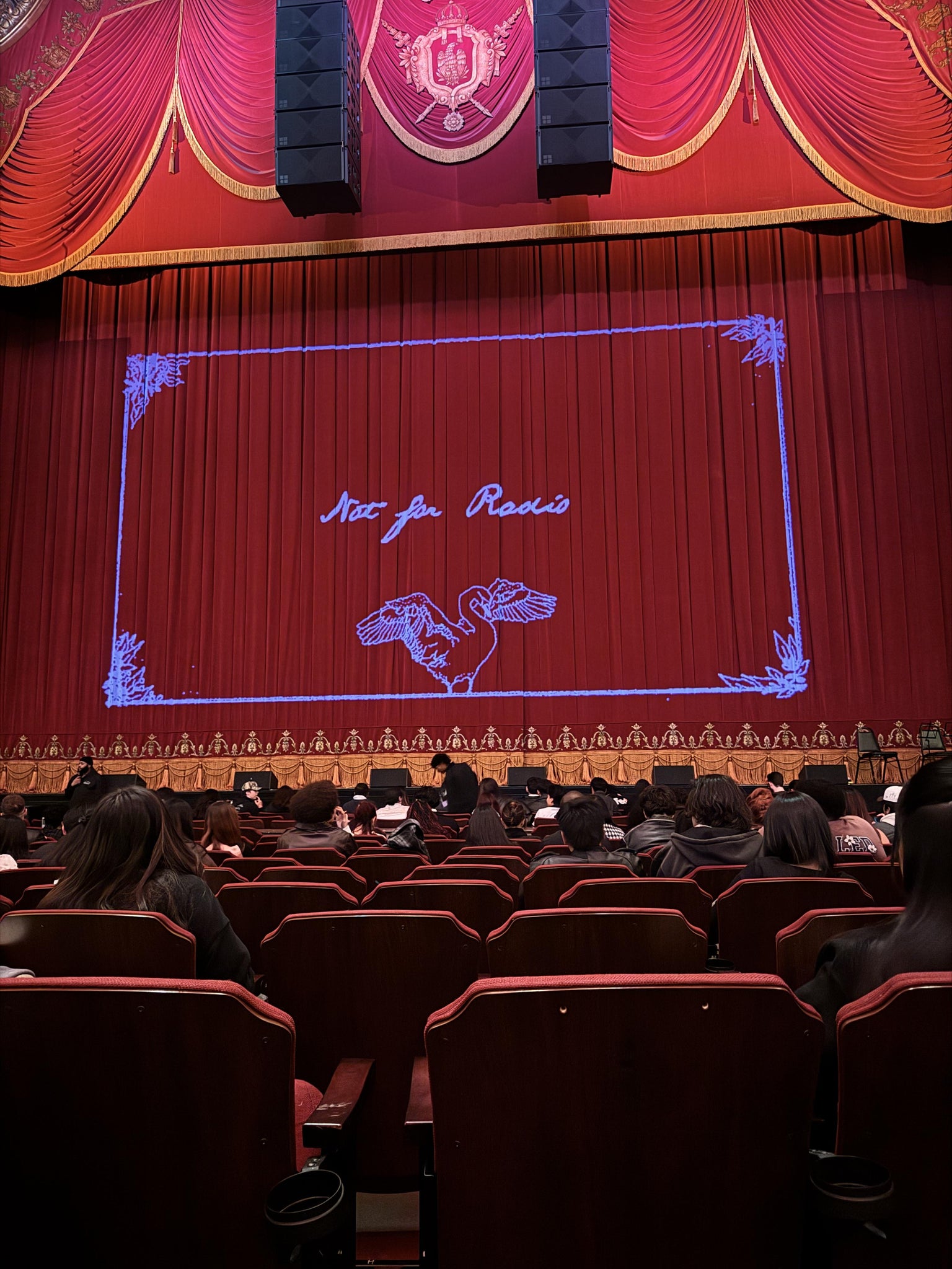 Real Fan View taken from Orchestra 2 at Kings Theatre - Brooklyn by Roberto R