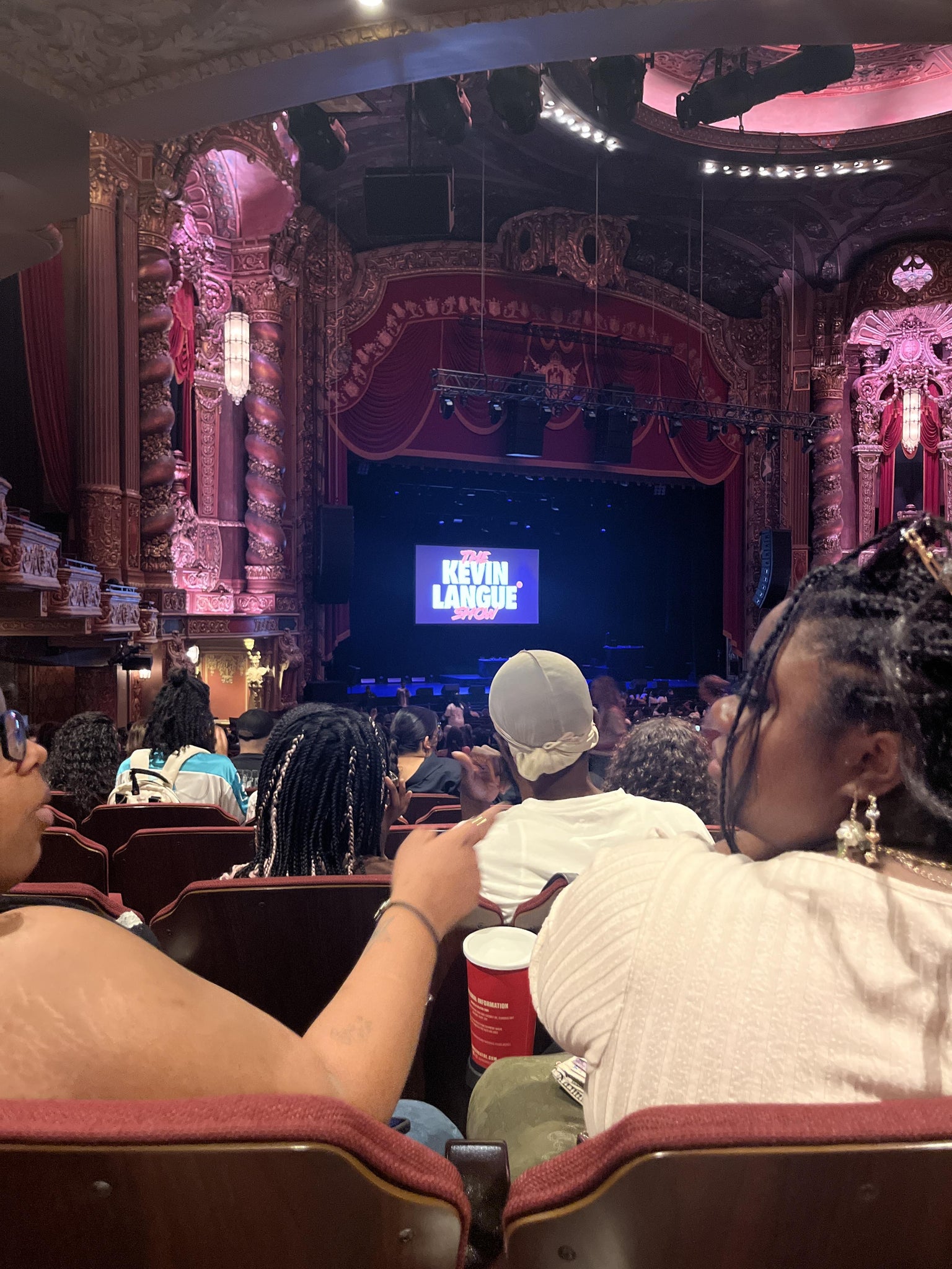 Real Fan View taken from Orchestra 4 at Kings Theatre - Brooklyn by Émillie A