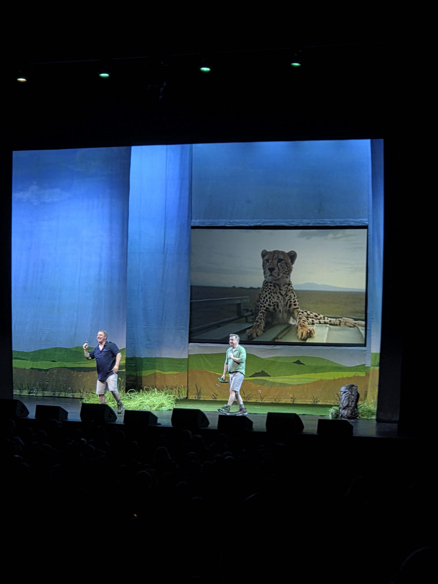 Real Fan View taken from Orchestra 8 at Kings Theatre - Brooklyn by Joana E