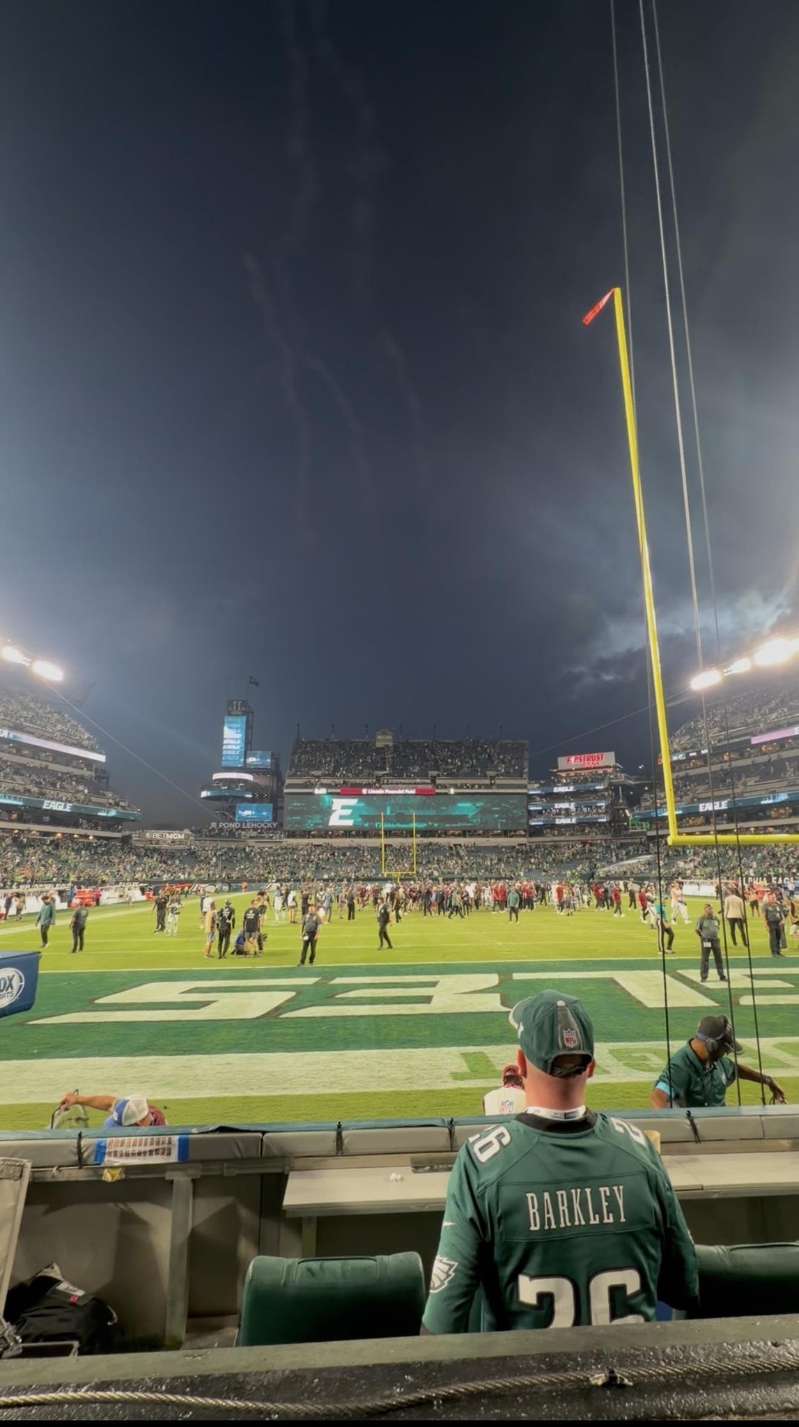 Real Fan View taken from Section 110 at Lincoln Financial Field by Darius W