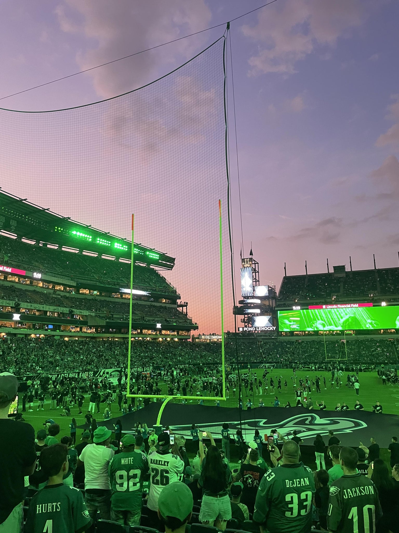 Real Fan View taken from Section 111 at Lincoln Financial Field by Anonymous User