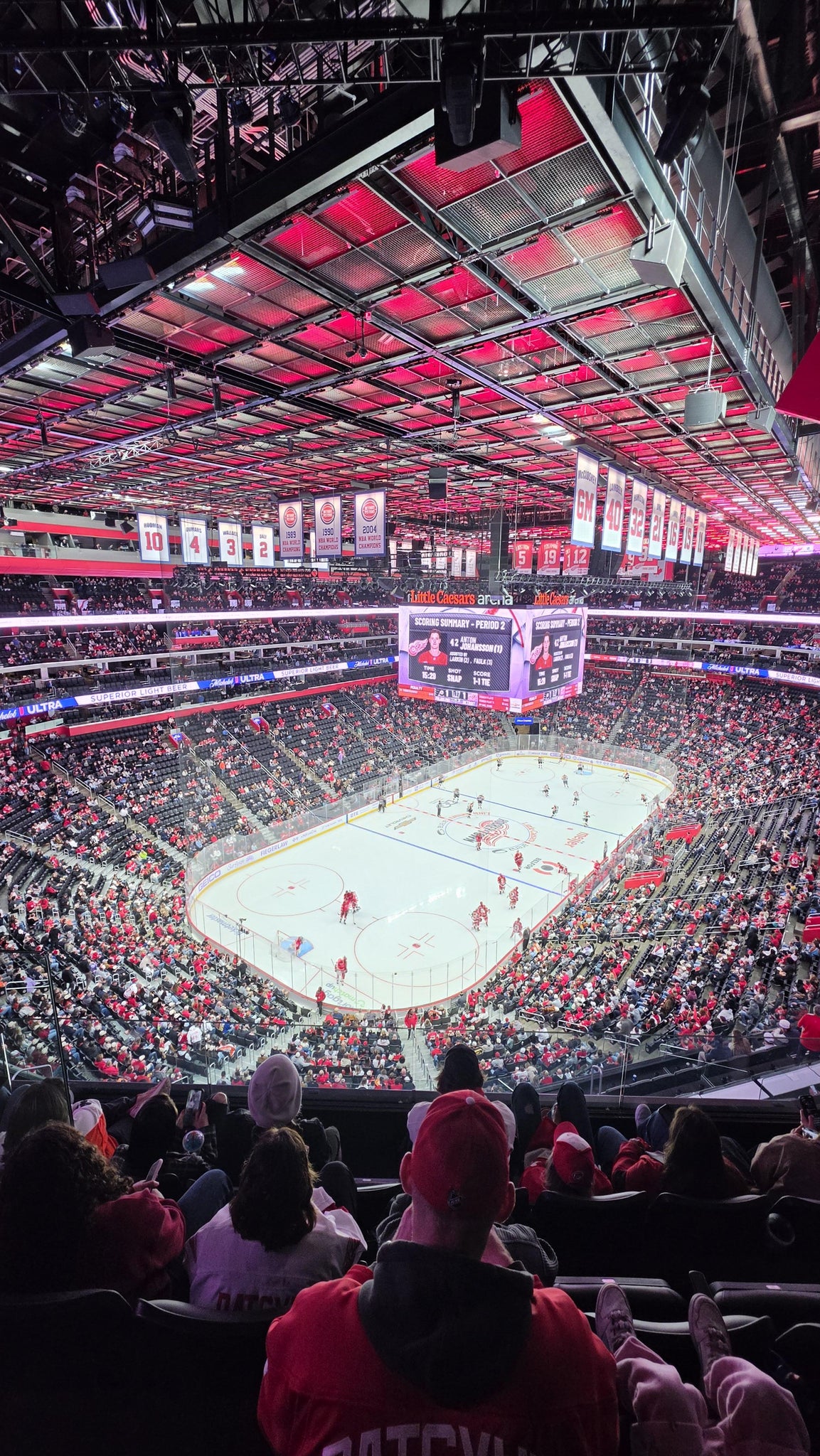 Real Fan View taken from Section 231 at Little Caesars Arena by Christian S