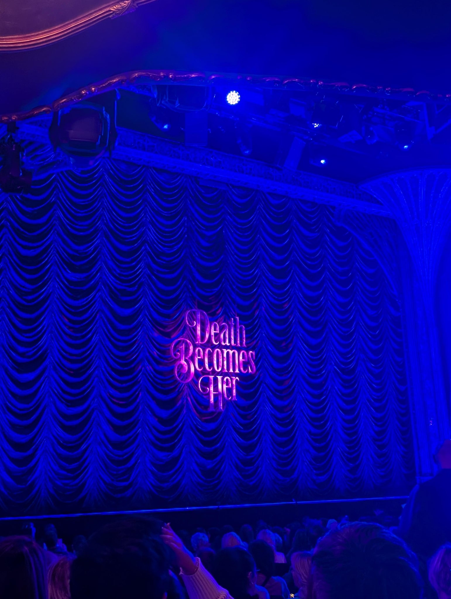 Vue réelle des fans prise de la Orchestra Left au site Lunt-Fontanne Theatre par Anonymous User