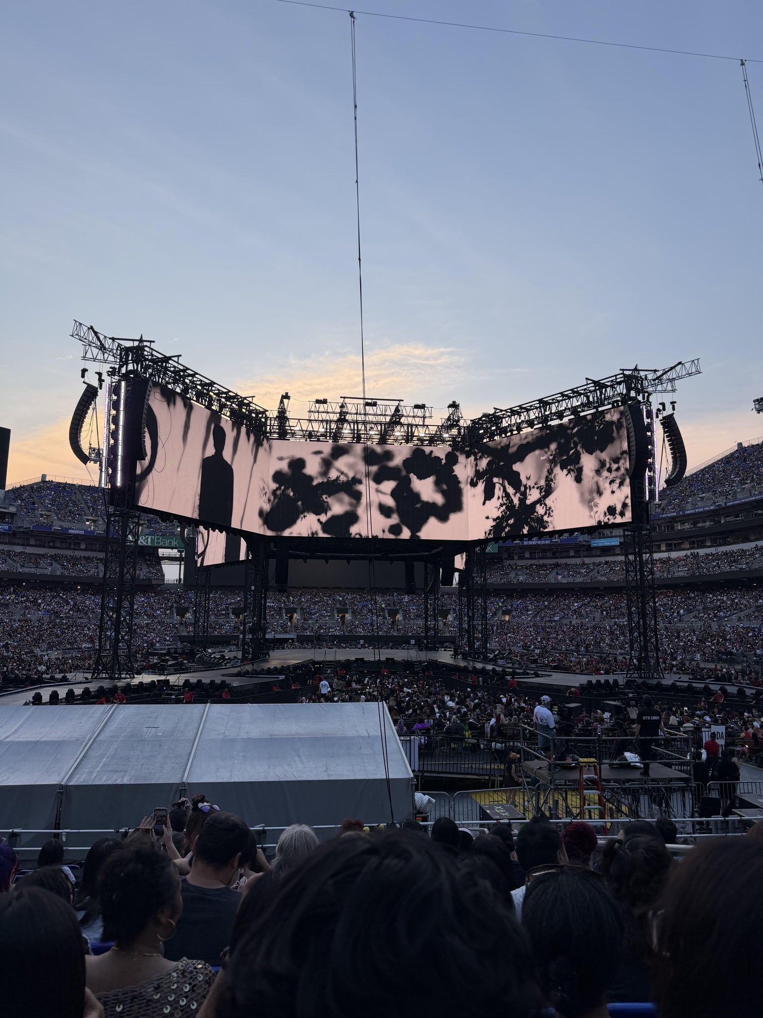 Real Fan View taken from Section 113 at M&T Bank Stadium by Scarlett M