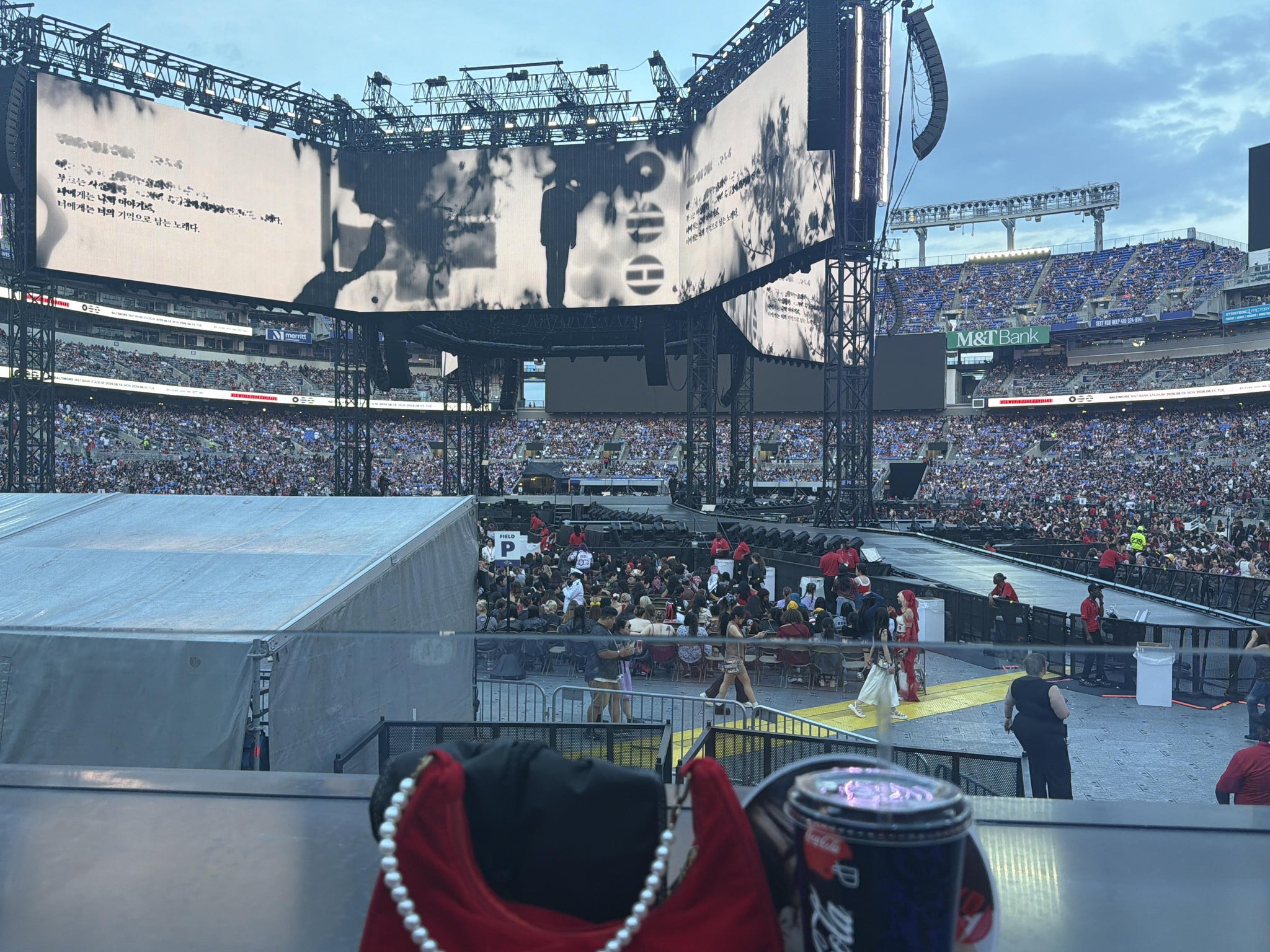 Real Fan View taken from Section 138 at M&T Bank Stadium by Aziza rose K
