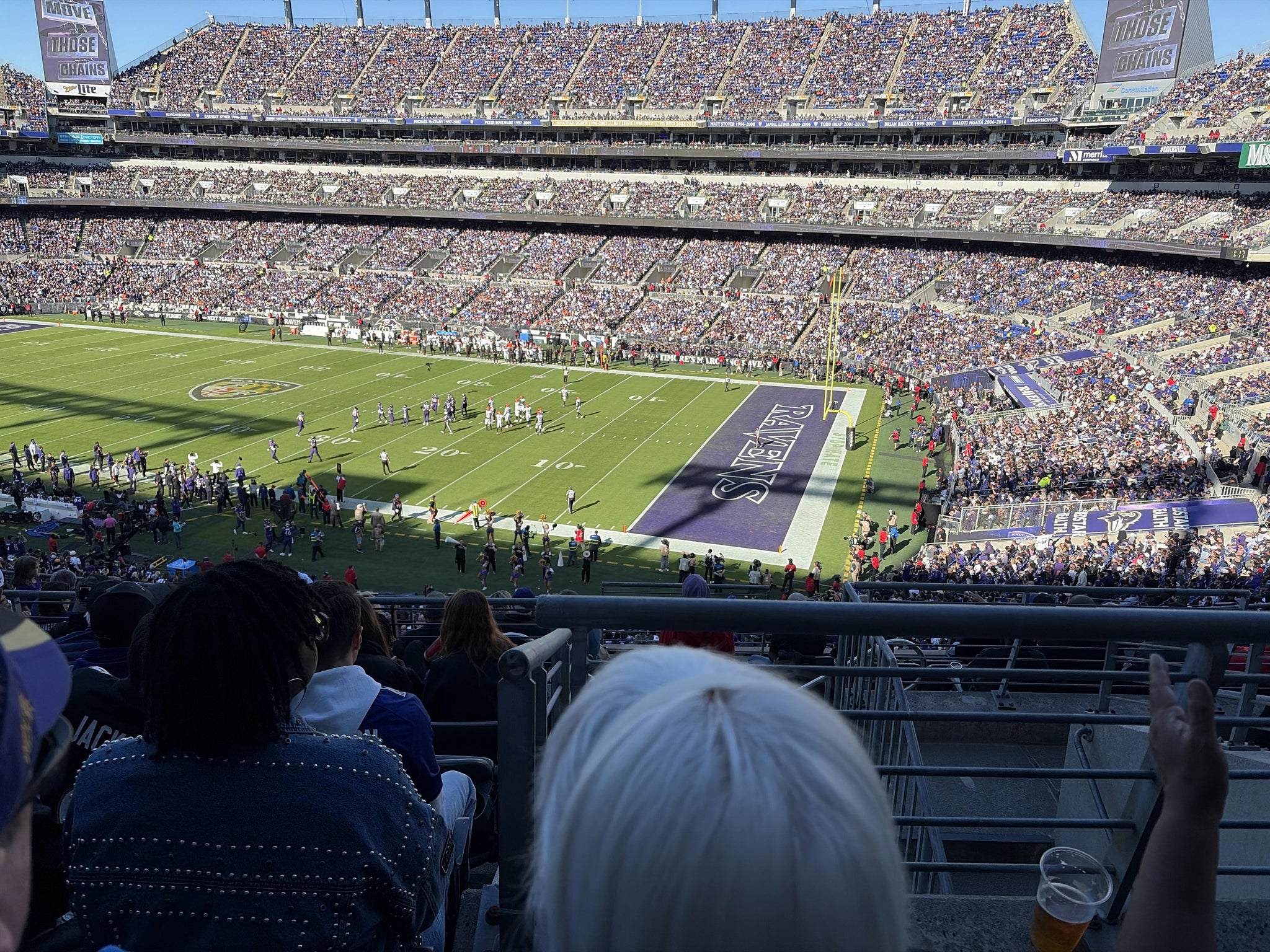 Real Fan View taken from Section 222 at M&T Bank Stadium by Francine L