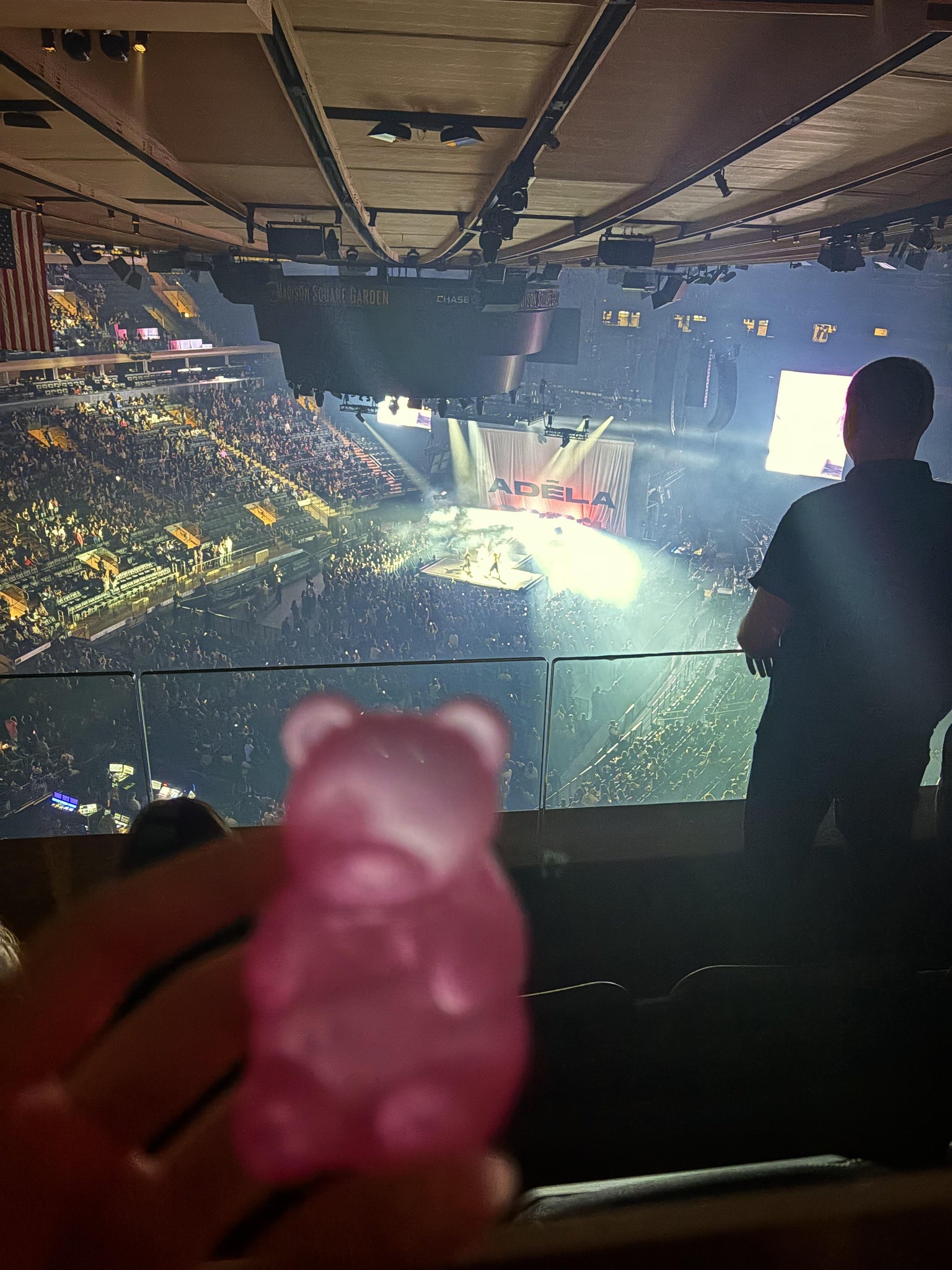 Real Fan View taken from Section 308 at Madison Square Garden by Brianna A