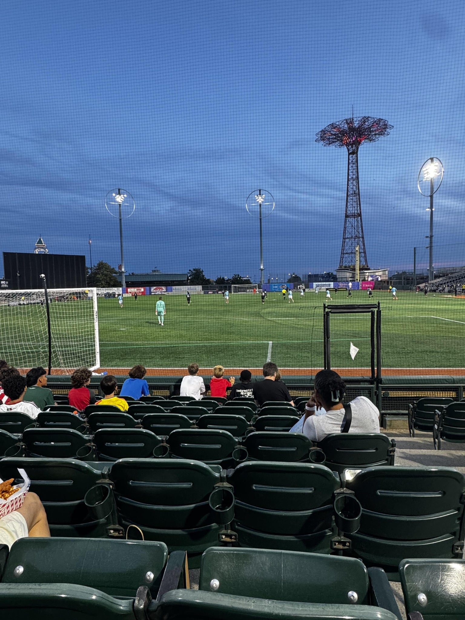 Real Fan View taken from Section 15 at Maimonides Park by Janel G