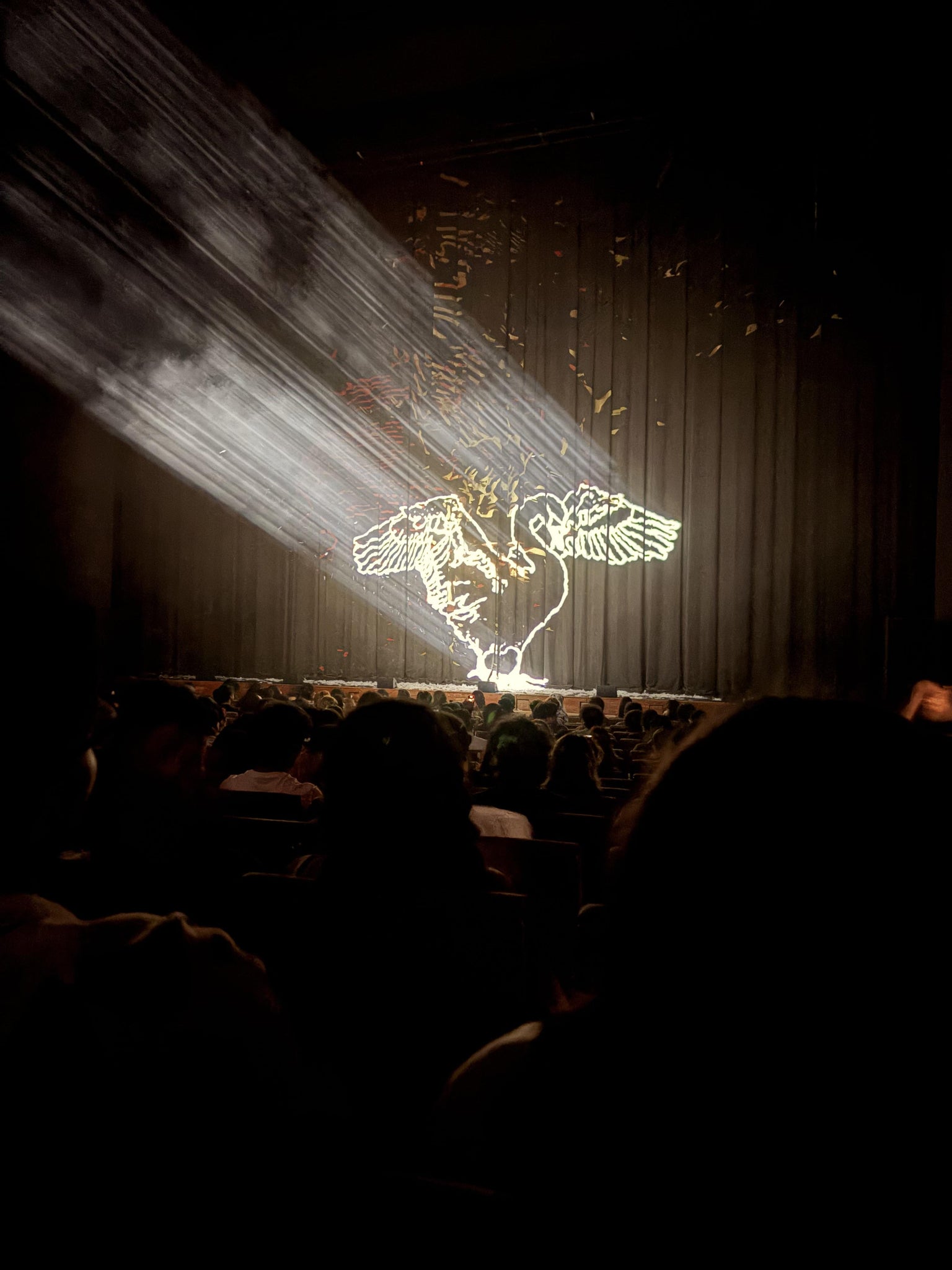 Real Fan View taken from Orchestra Center at Margot and Bill Winspear Opera House by Anonymous User