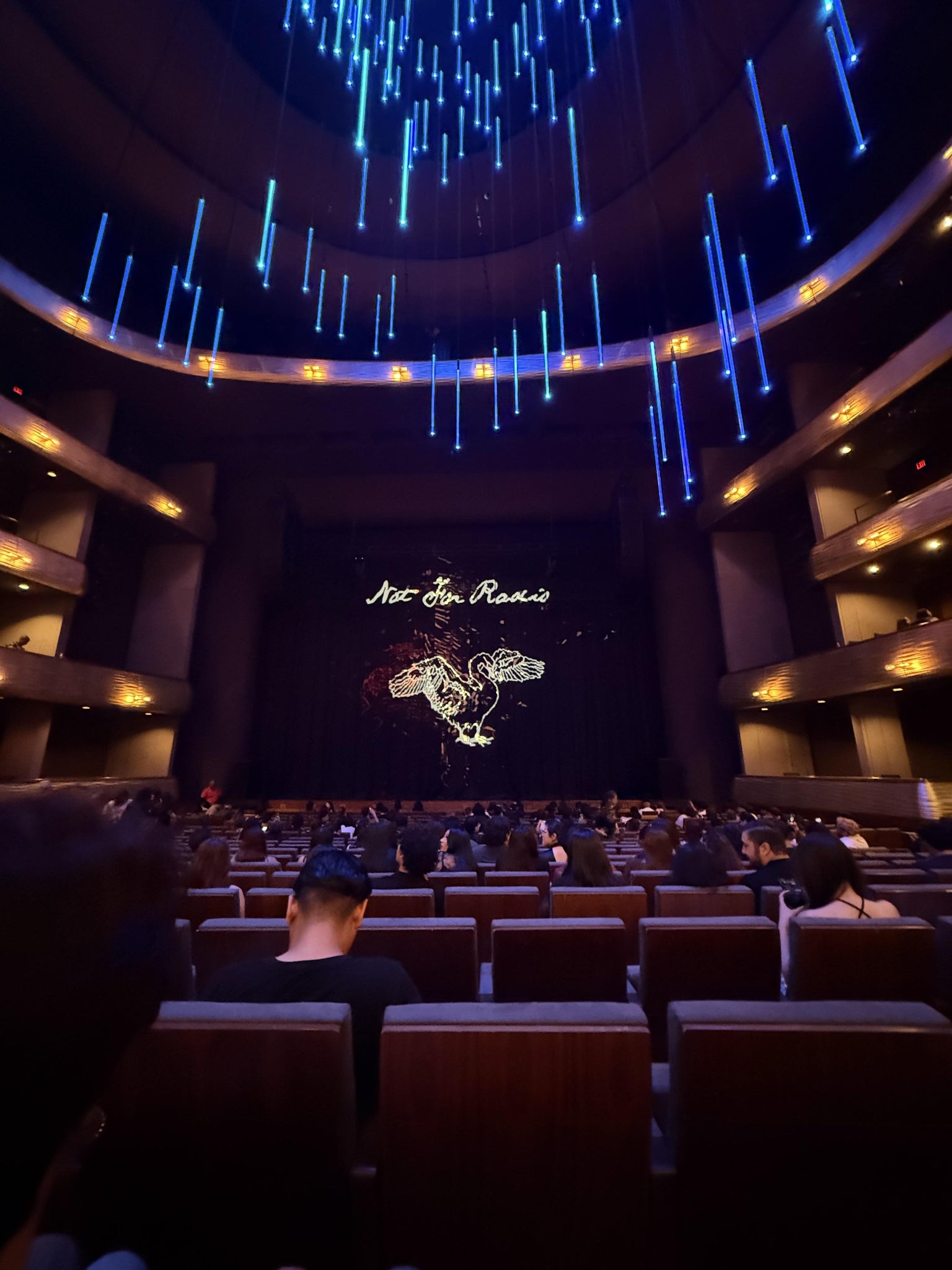 Real Fan View taken from Orchestra Center at Margot and Bill Winspear Opera House by Amy C