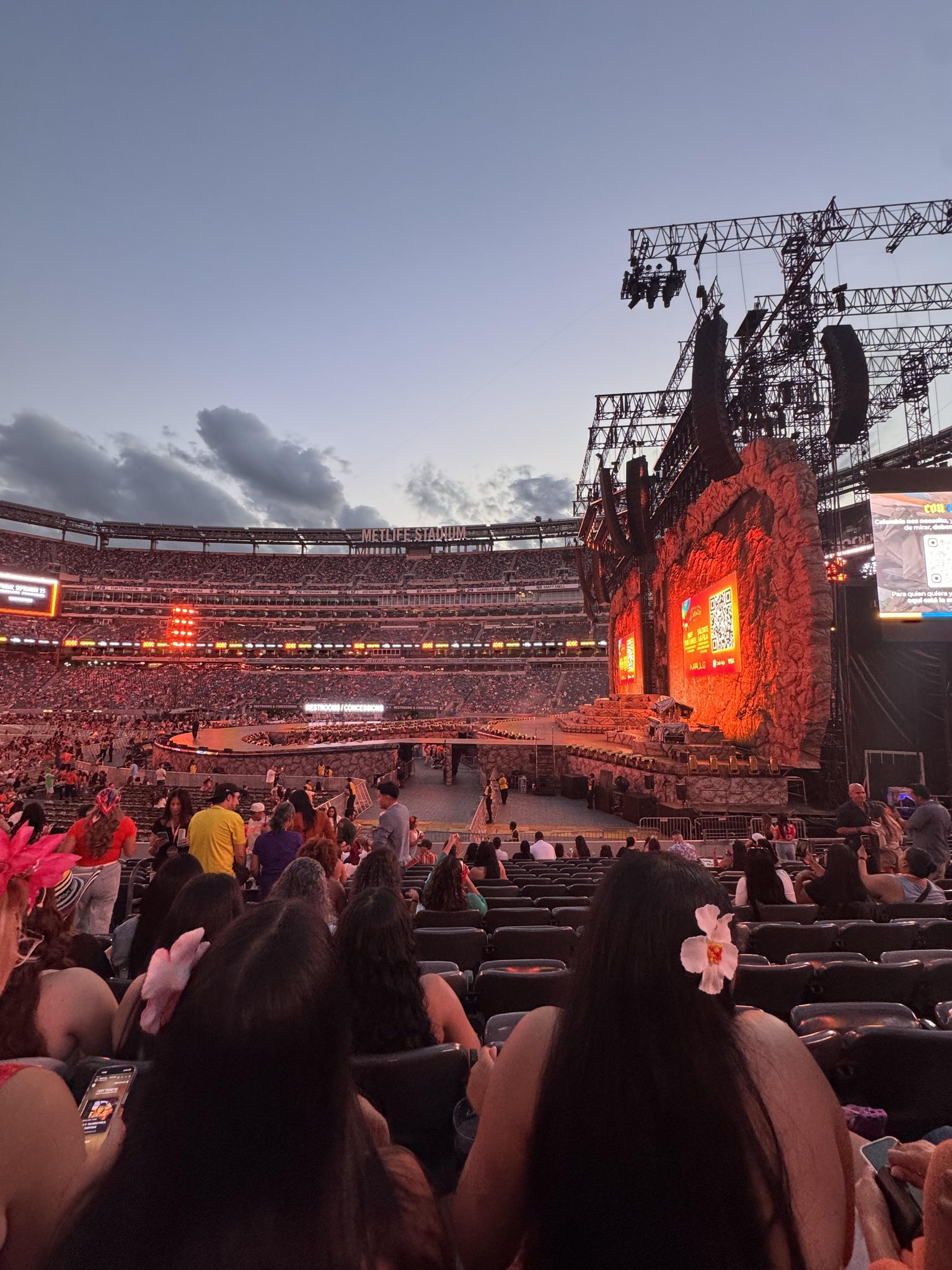 Real Fan View taken from Section 110 at MetLife Stadium by Jessy A