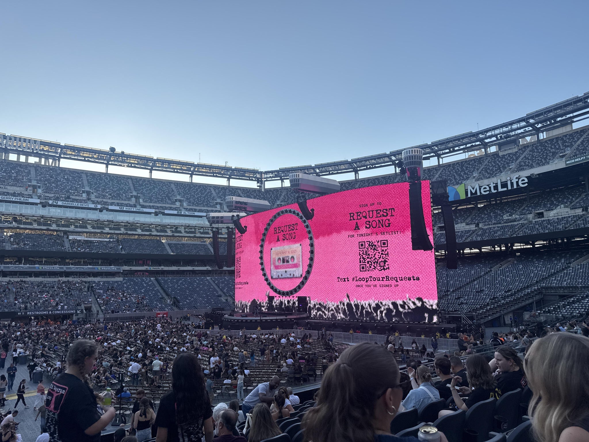 Real Fan View taken from Section 113 at MetLife Stadium by Jane M