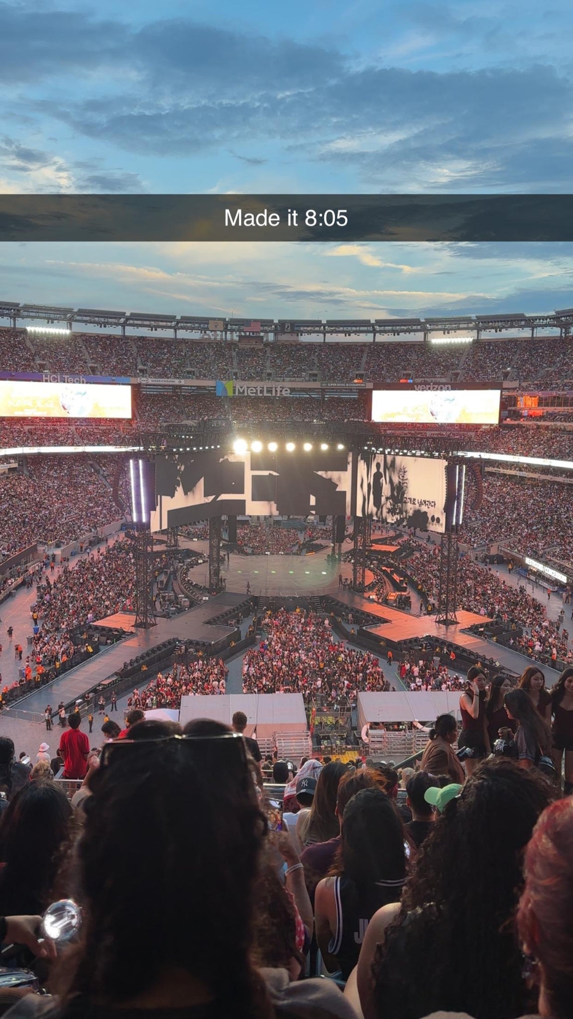 Real Fan View taken from Section 202 B at MetLife Stadium by Rabia A
