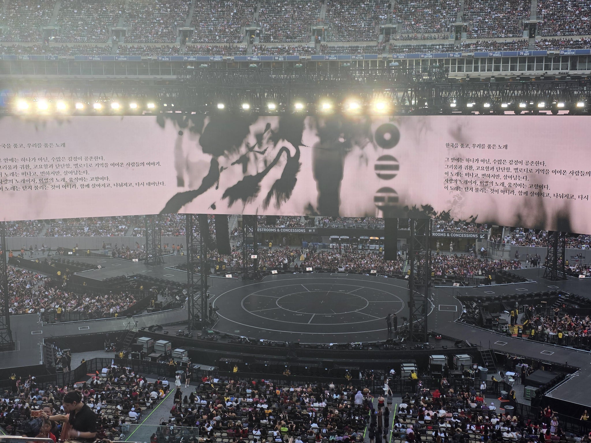 Real Fan View taken from Section 212 at MetLife Stadium by Jacqueline P