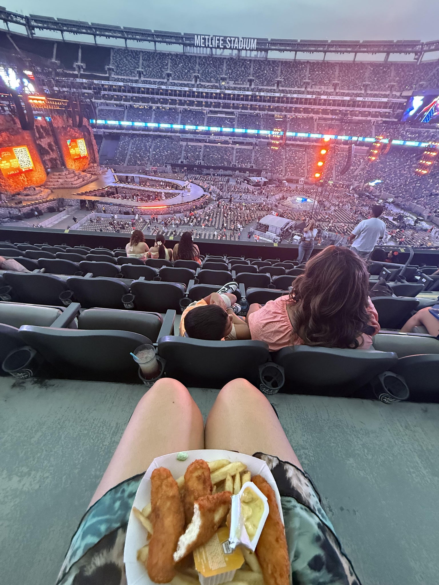 Real Fan View taken from Section 239 at MetLife Stadium by Stephanie G