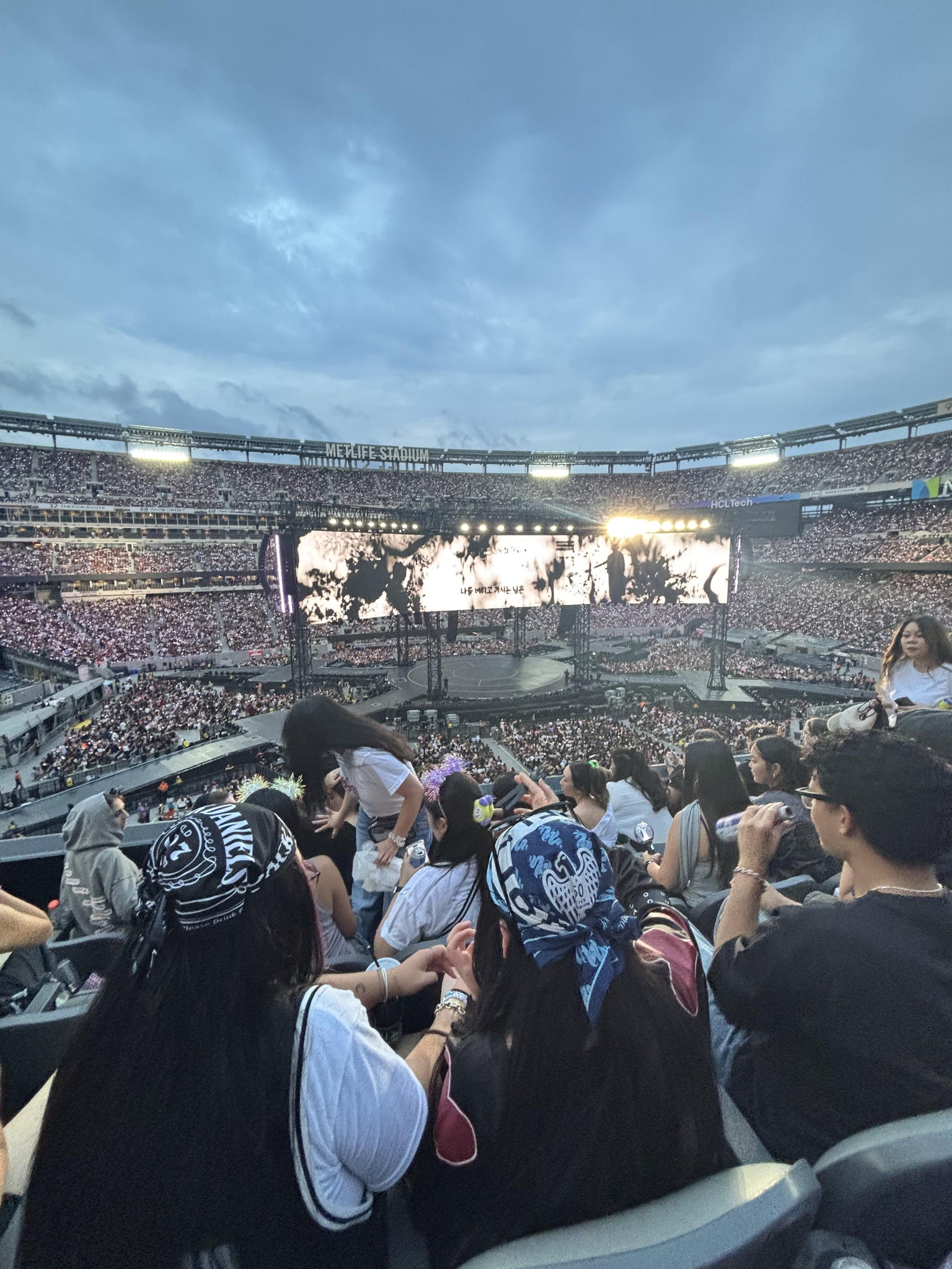 Real Fan View taken from Section 241 at MetLife Stadium by Joanna P