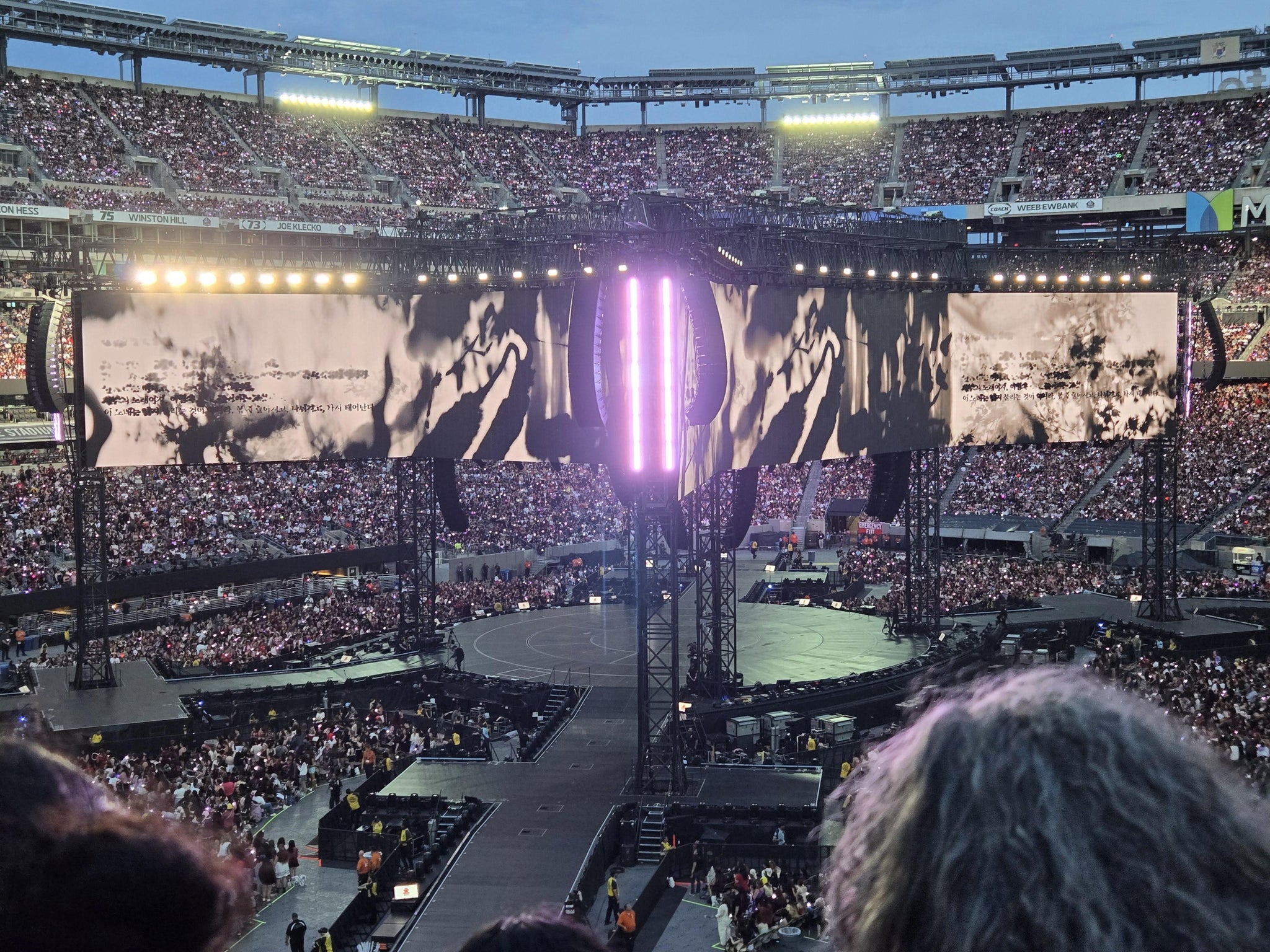 Real Fan View taken from Section 245 A at MetLife Stadium by Dori M