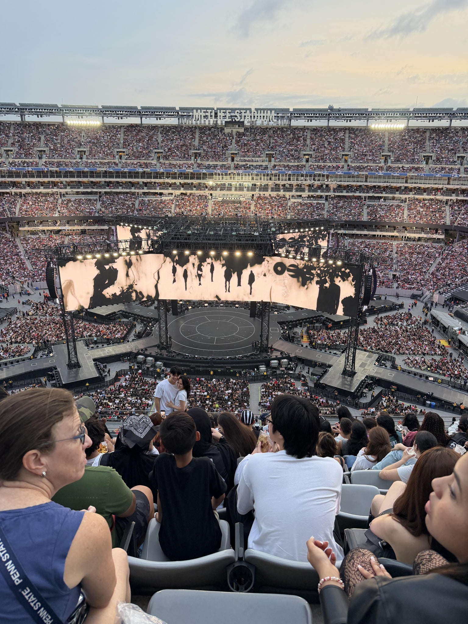 Real Fan View taken from Section 313 at MetLife Stadium by Sariet E