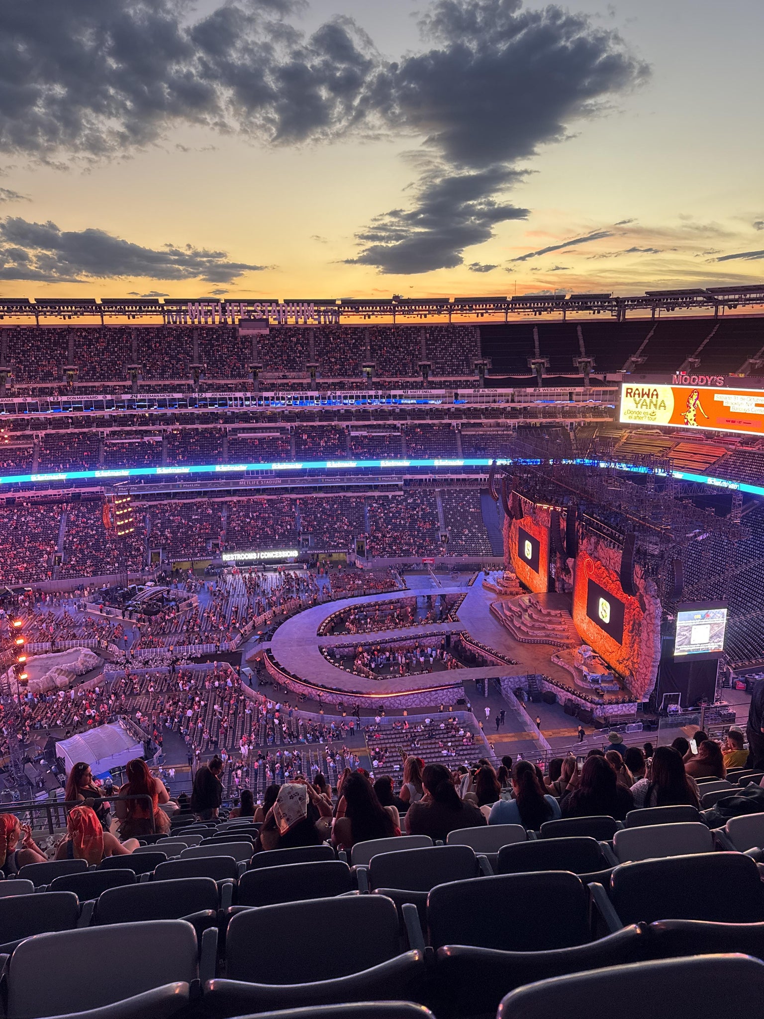 Real Fan View taken from Section 313 at MetLife Stadium by Tania M
