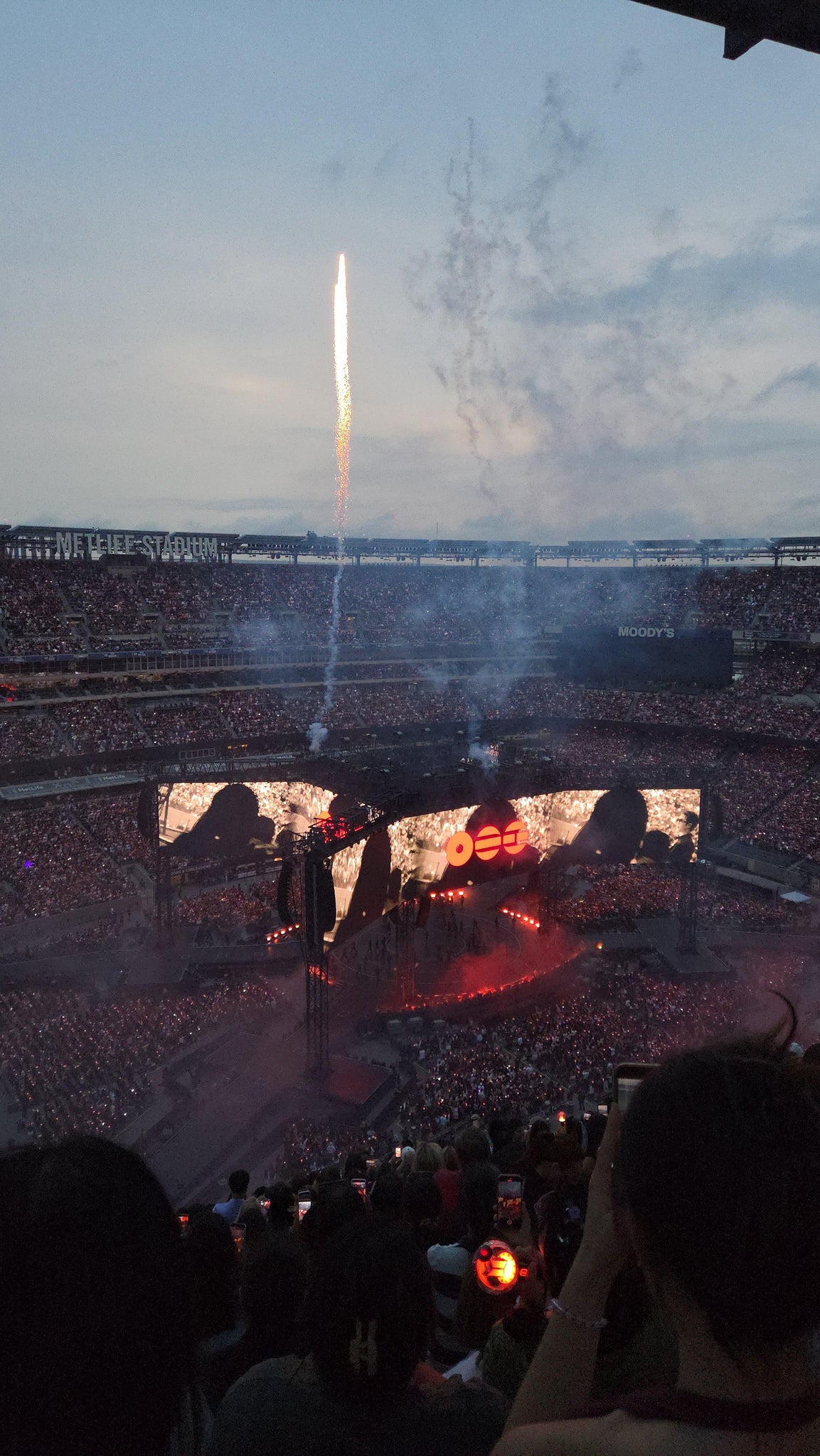 Real Fan View taken from Section 318 at MetLife Stadium by Angelica G