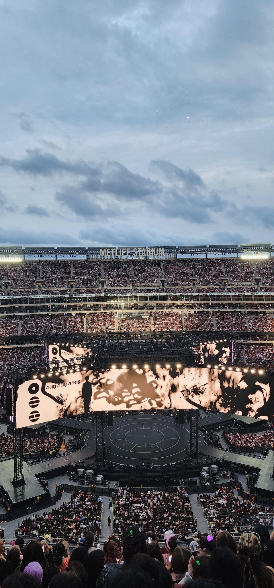 Real Fan View taken from Section 339 at MetLife Stadium by Janette B