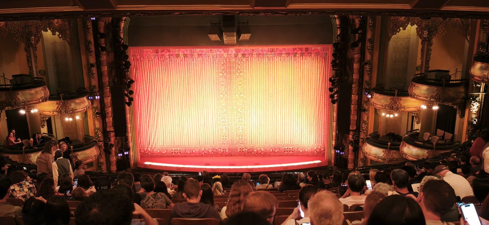 Real Fan View taken from Mezzanine at New Amsterdam Theatre by Jose F