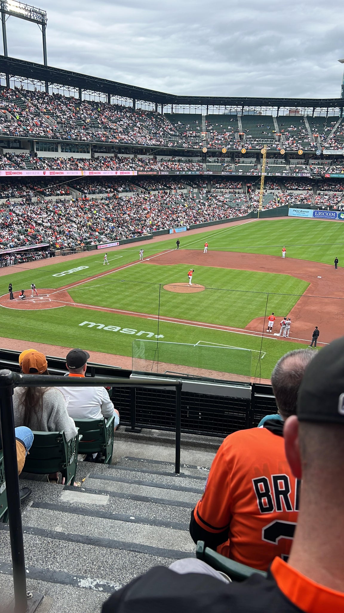 Real Fan View taken from Section 218 at Oriole Park at Camden Yards by Michele S