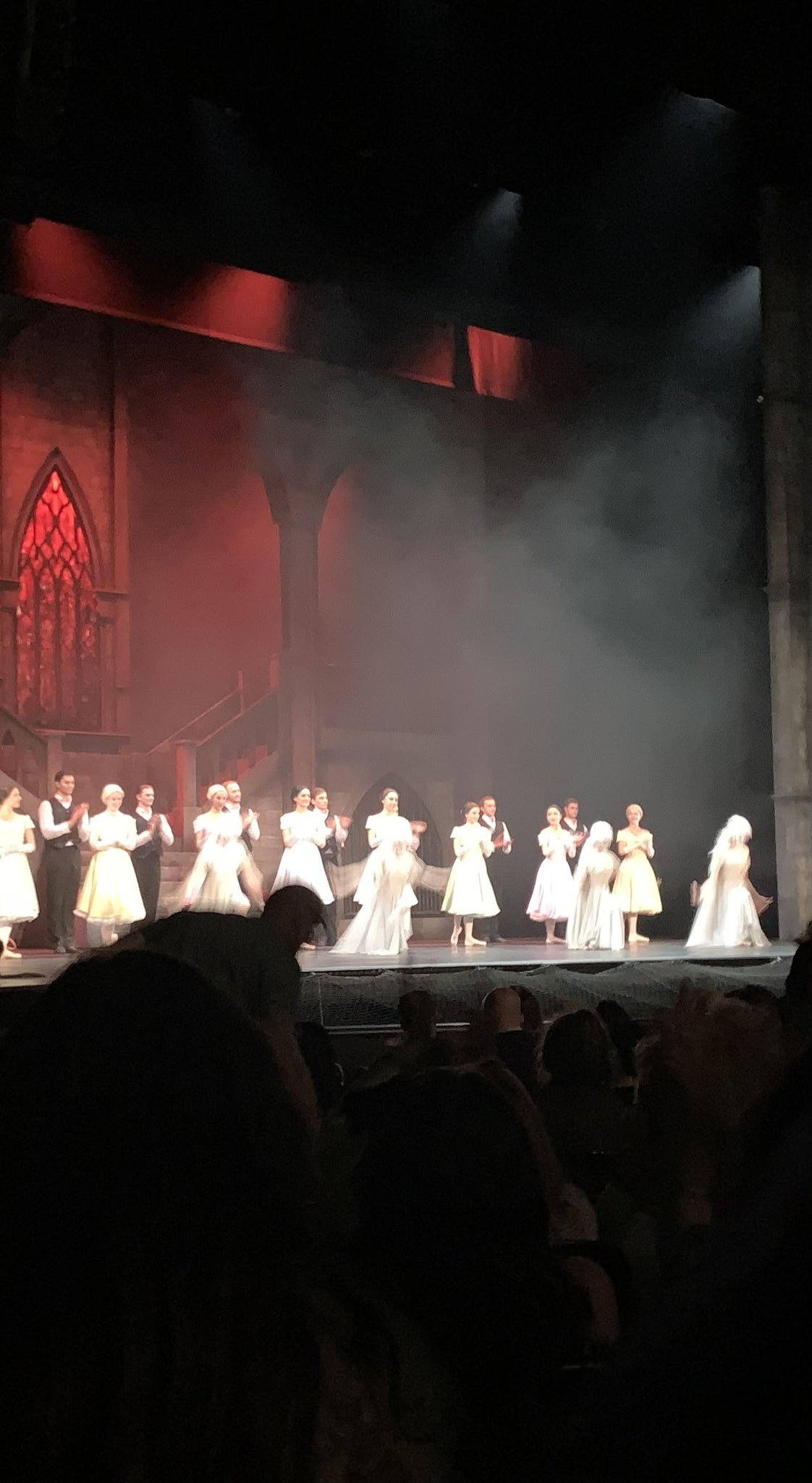 Real Fan View taken from Orchestra at Orpheum Theatre - San Francisco by Lavinia C
