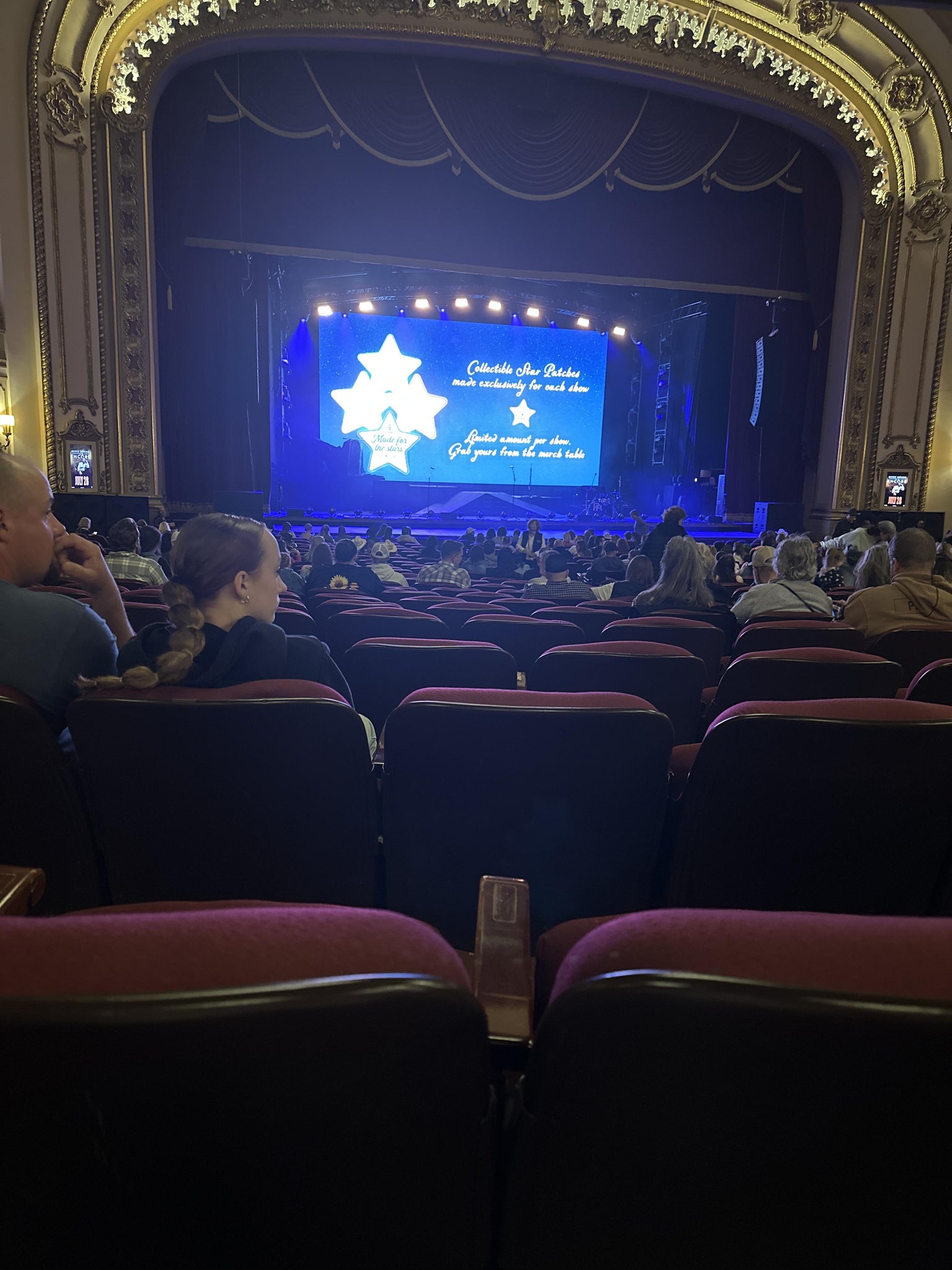 Real Fan View taken from Orchestra Left Center at Palace Theatre - Albany by Vincenza G