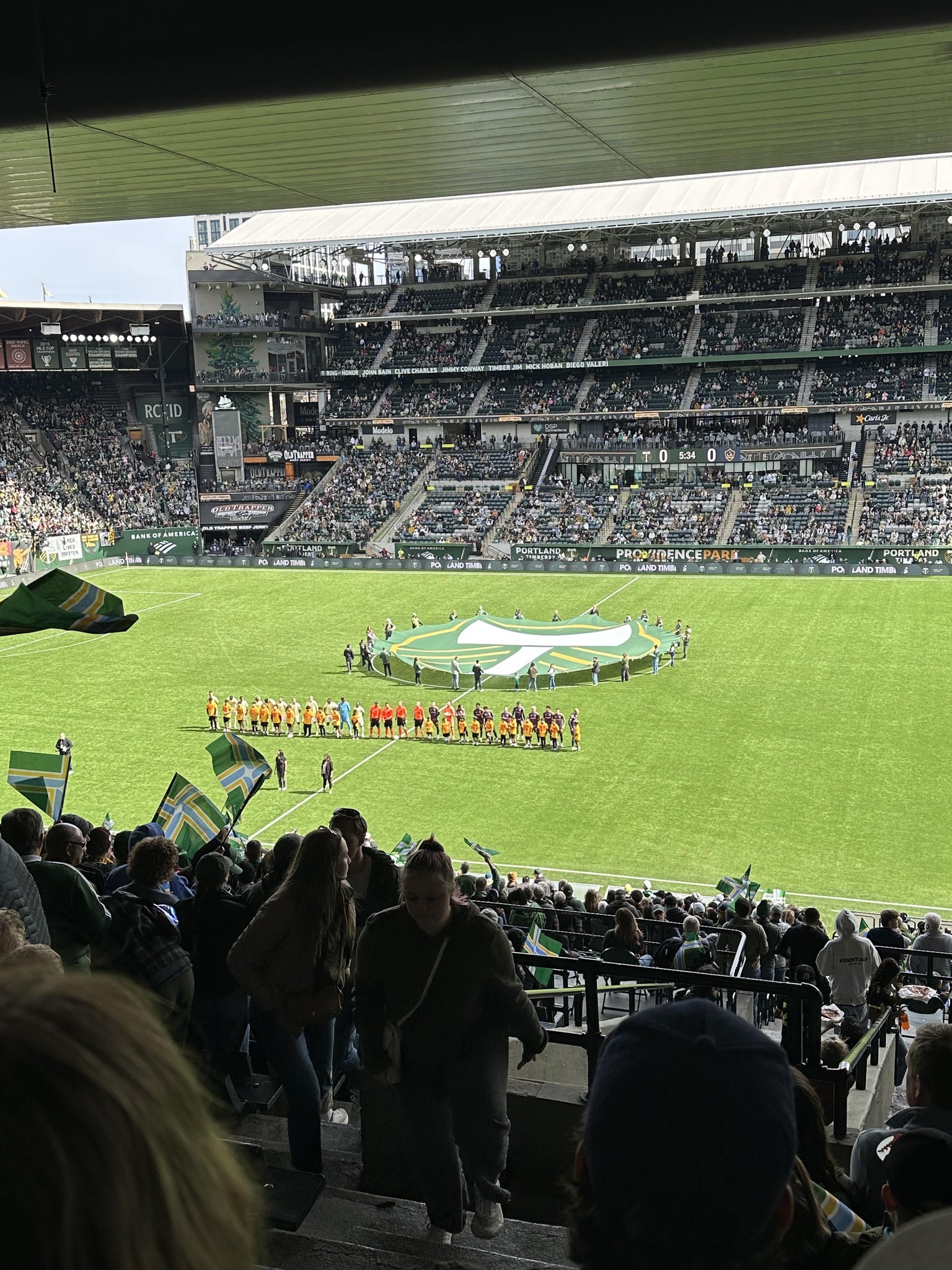 Real Fan View taken from Section 220 at Providence Park by Andrew E