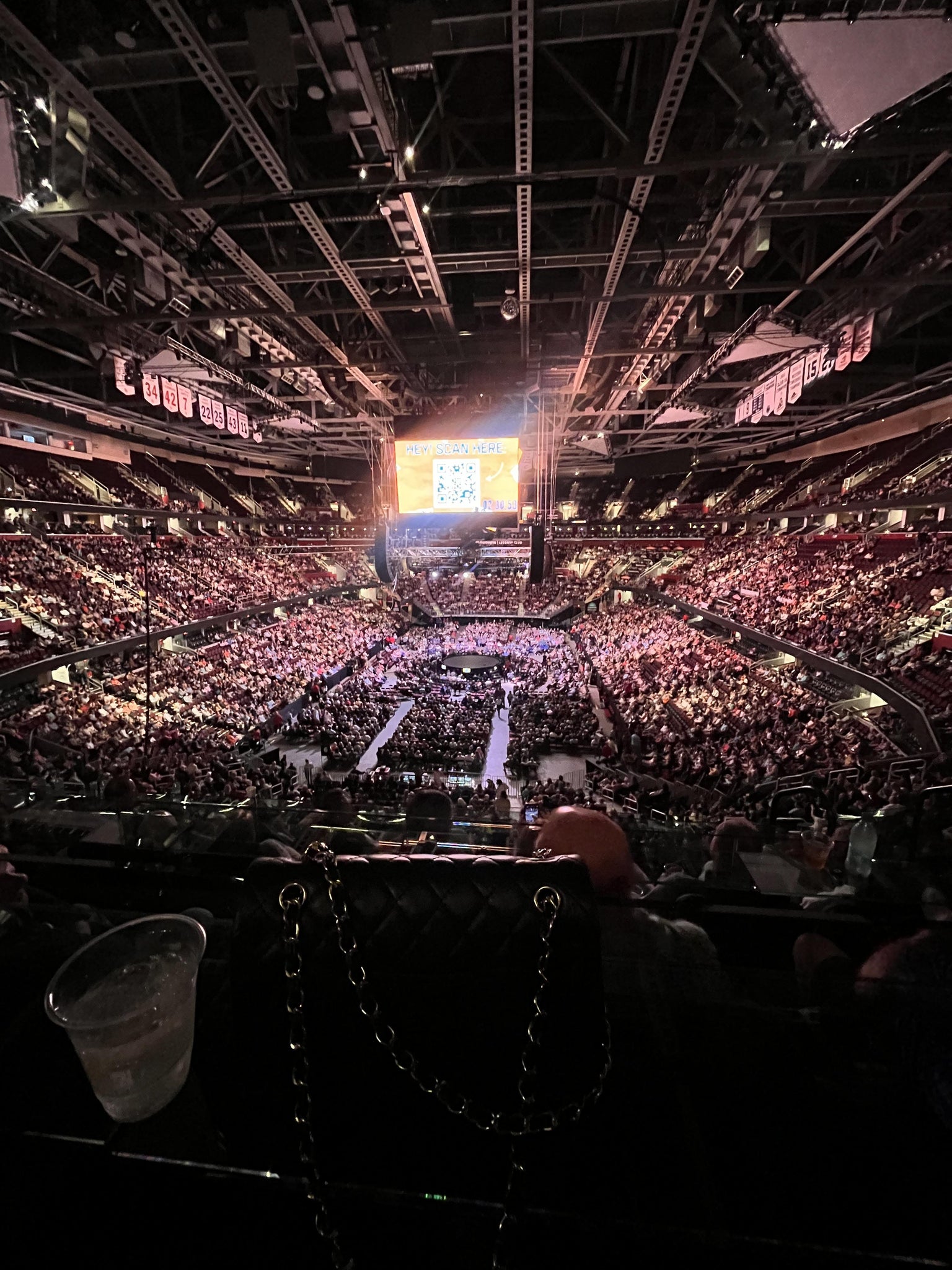 Real Fan View taken from Arena 2 at Rocket Arena by Chanel P