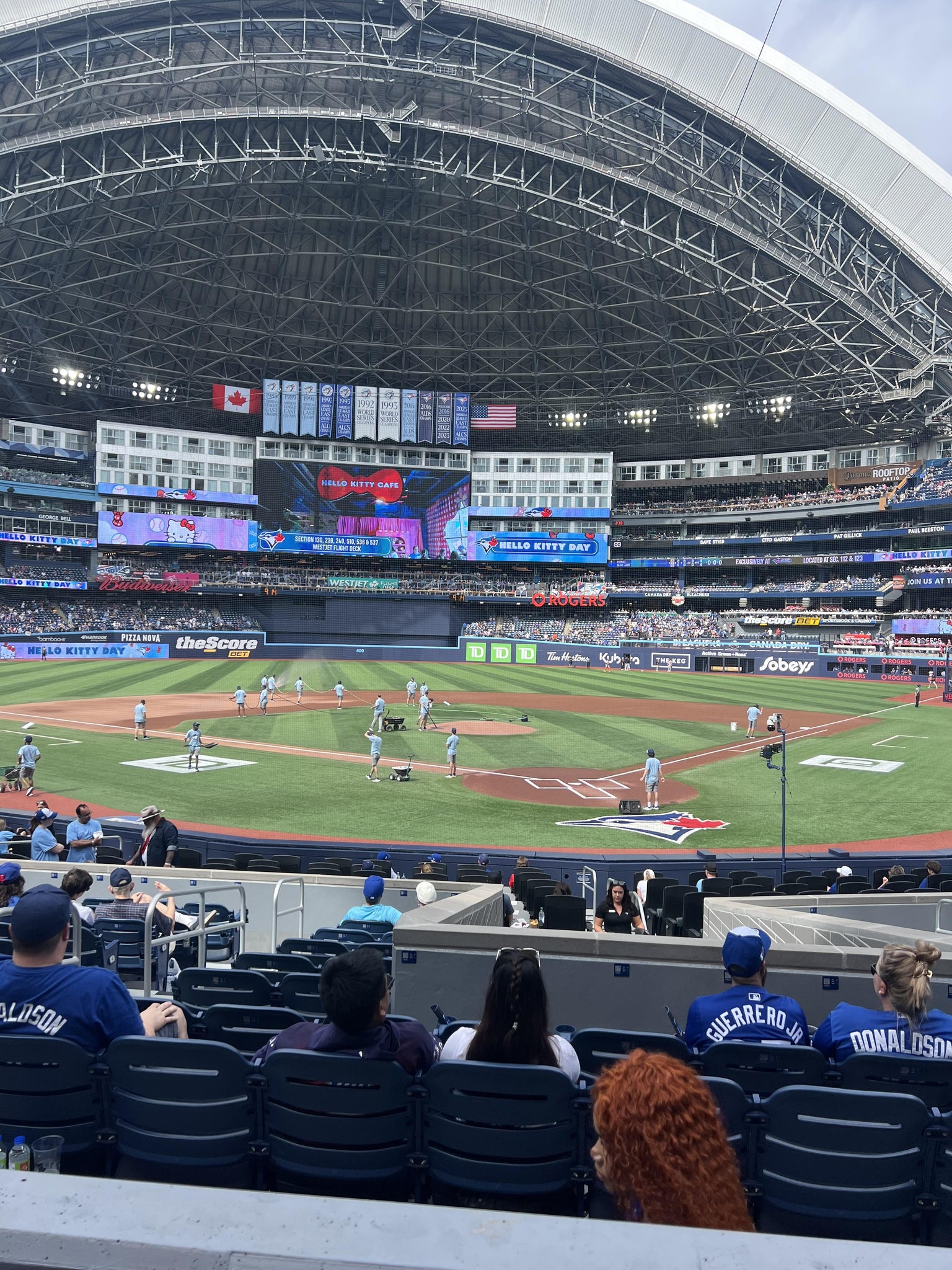 Real Fan View taken from Section 125 at Rogers Centre by Laura M
