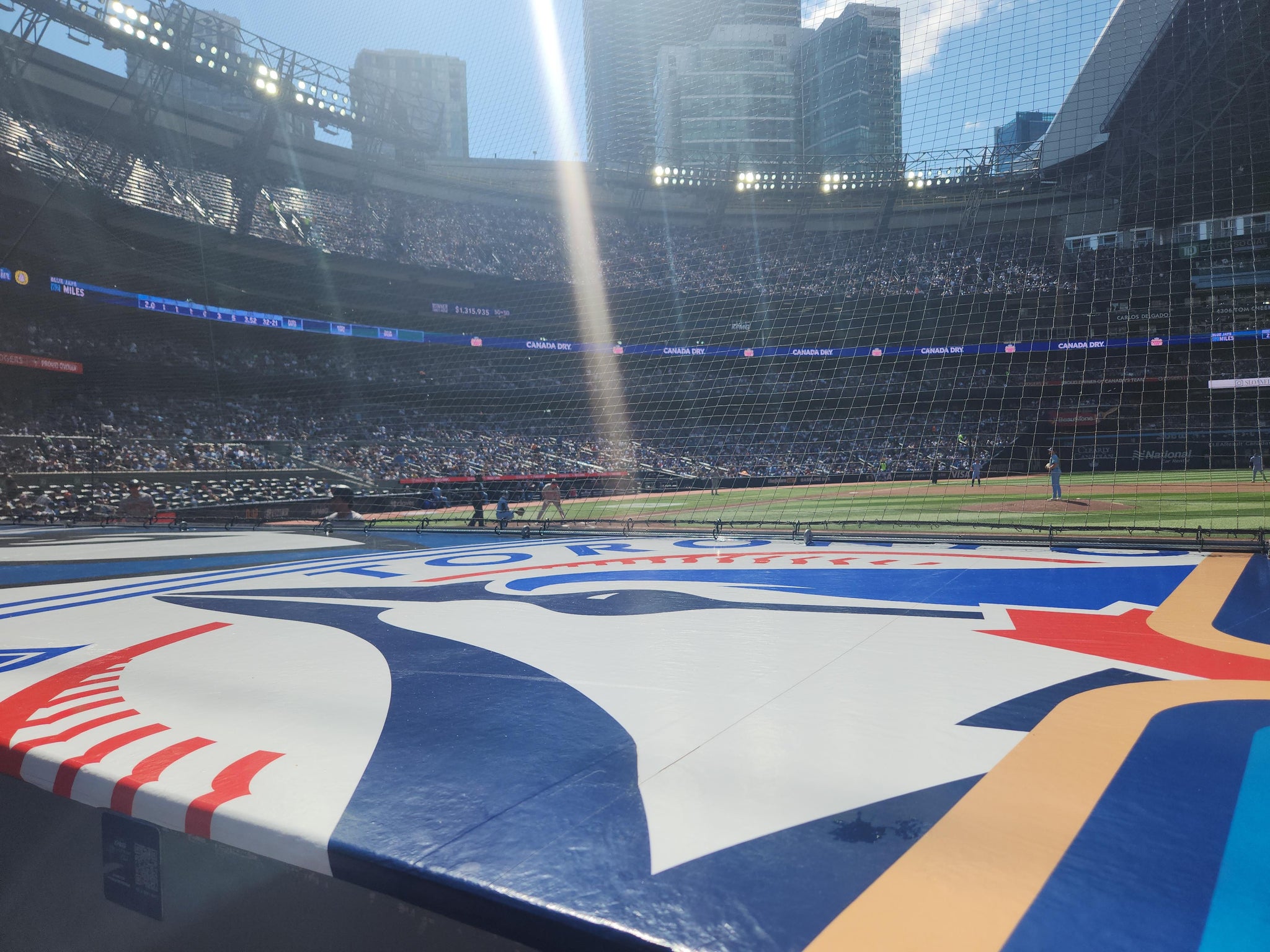 Real Fan View taken from Section 18 at Rogers Centre by Patricia H