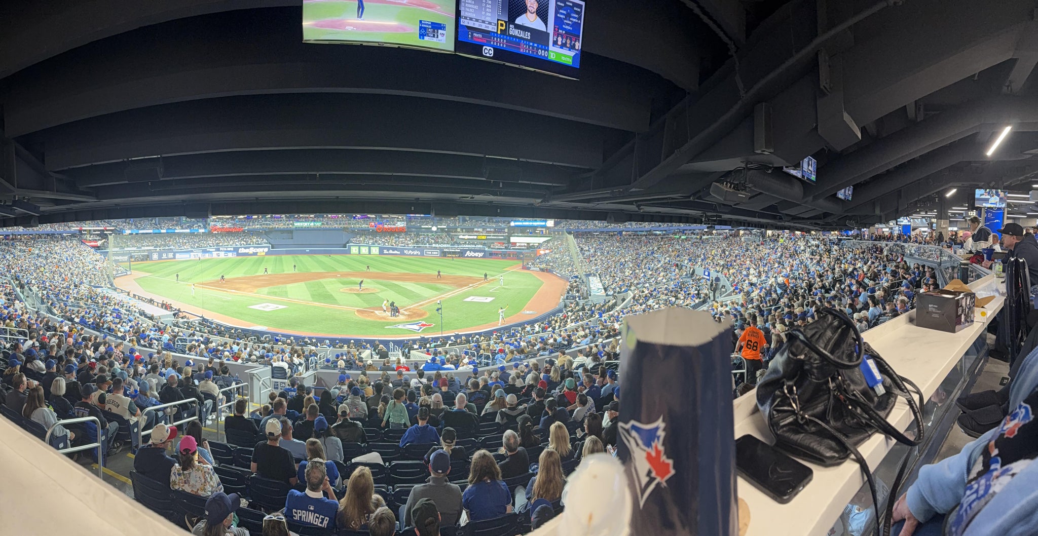 Real Fan View taken from Section W 125 at Rogers Centre by Brian L
