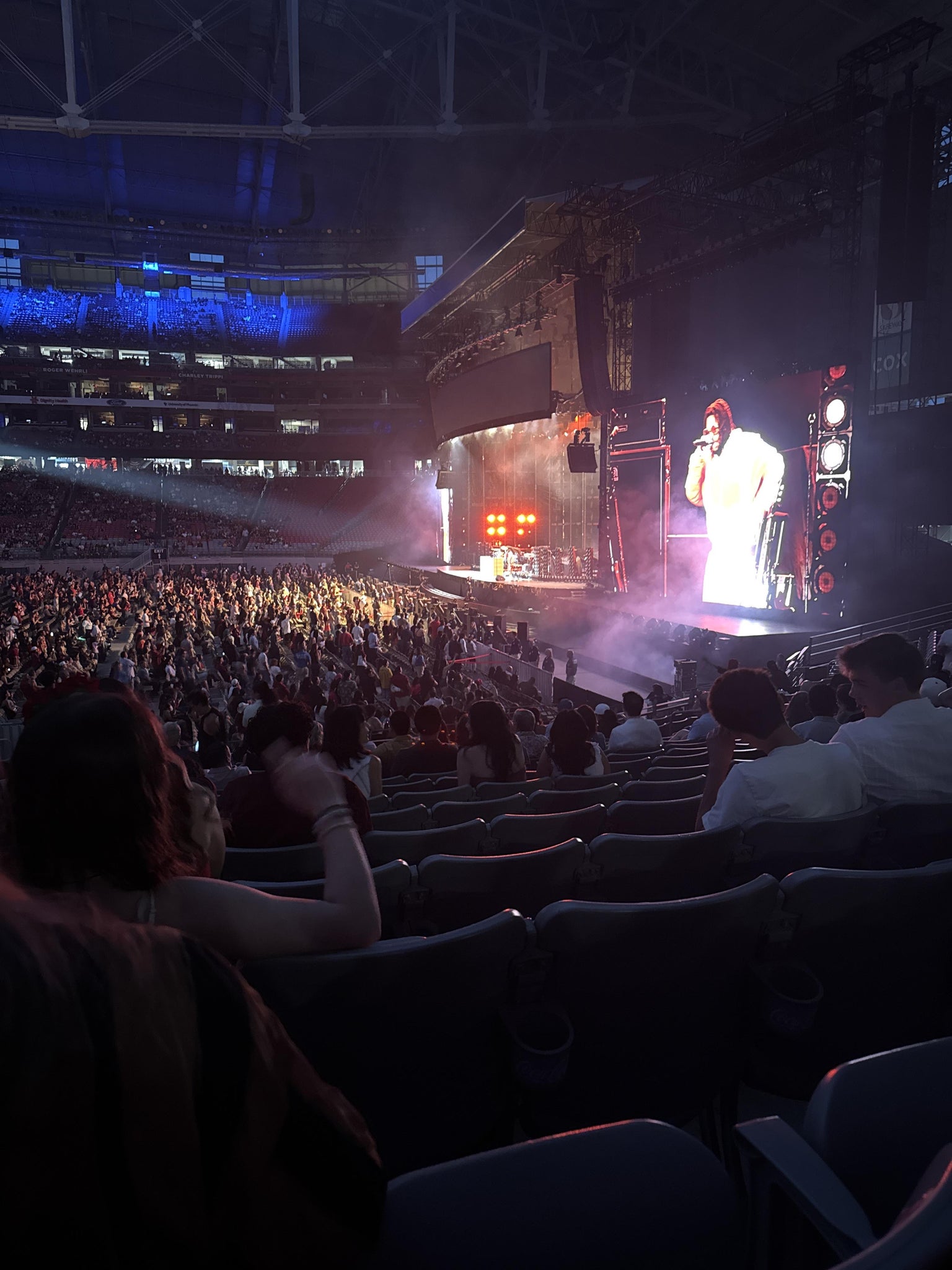 Real Fan View taken from Section 104 at State Farm Stadium by Emely J