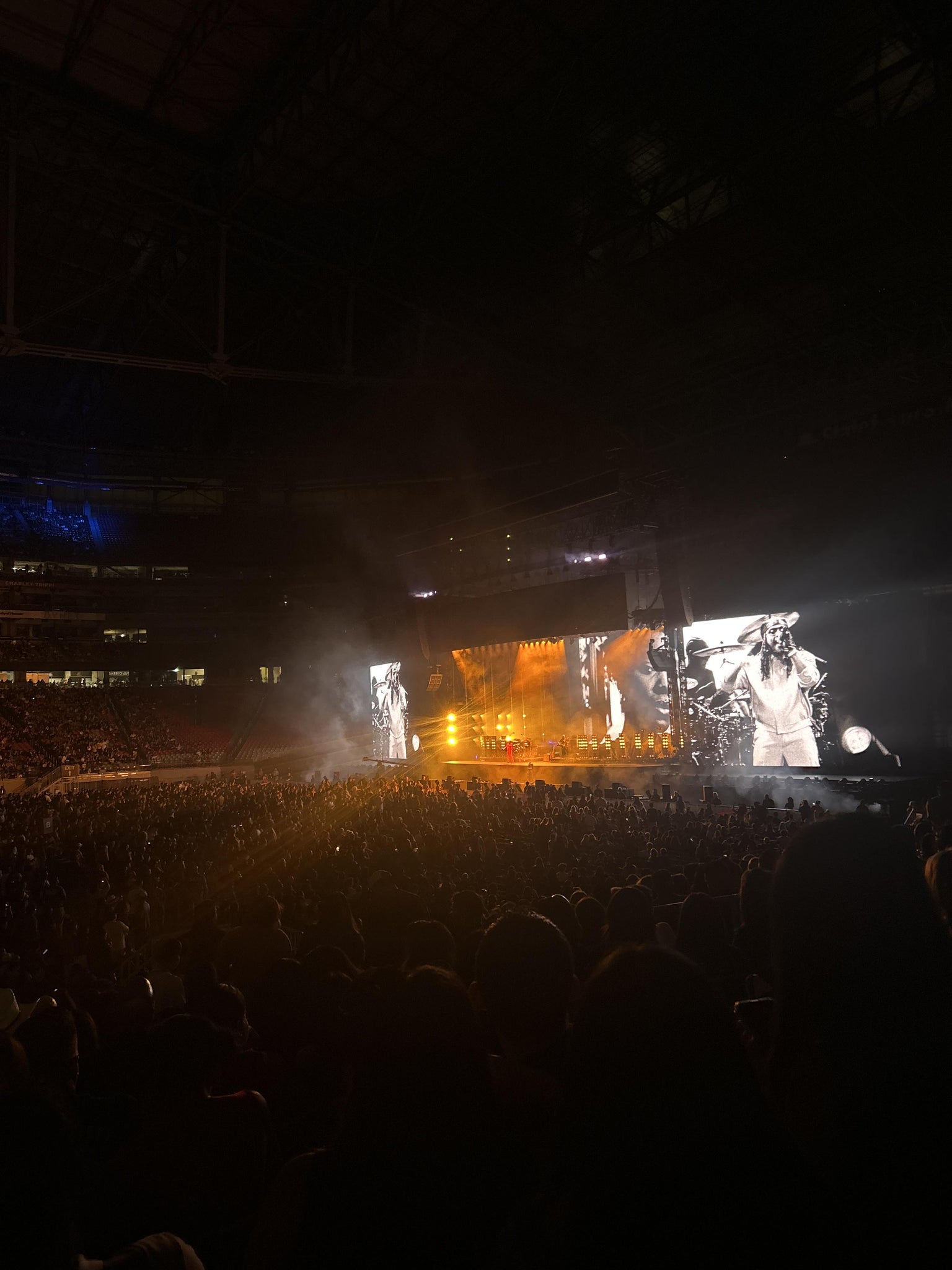 Real Fan View taken from Section 107 at State Farm Stadium by Rossina C
