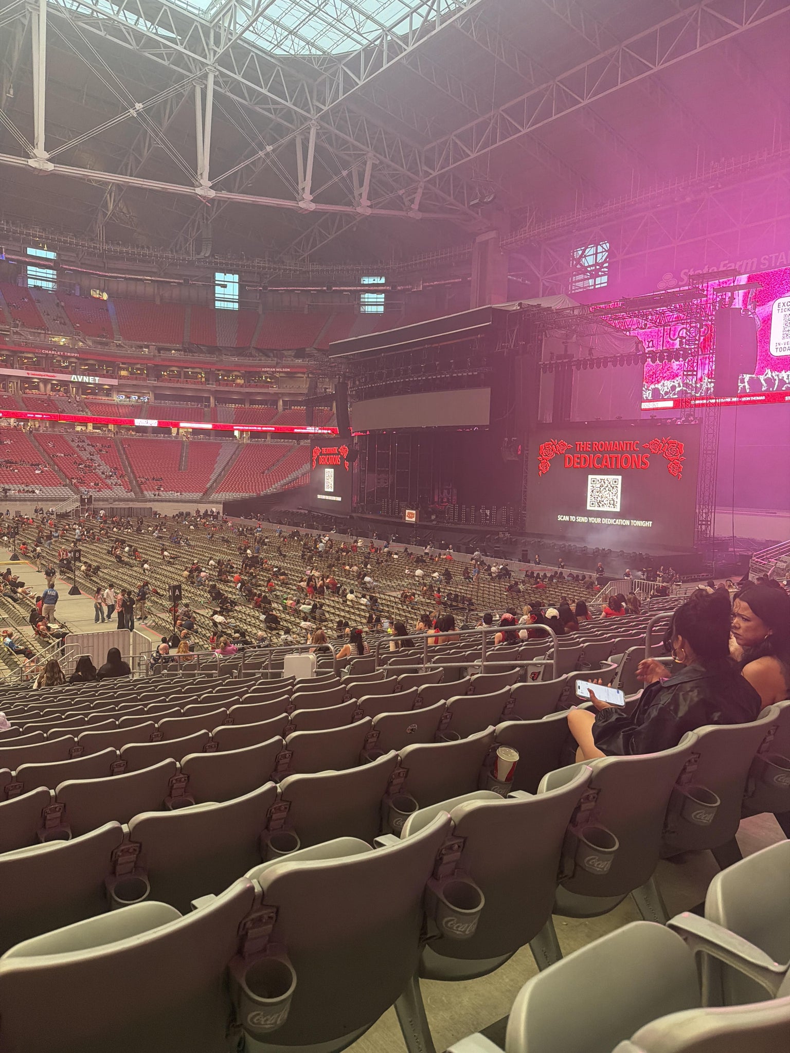 Real Fan View taken from Section 107 at State Farm Stadium by Danielle O