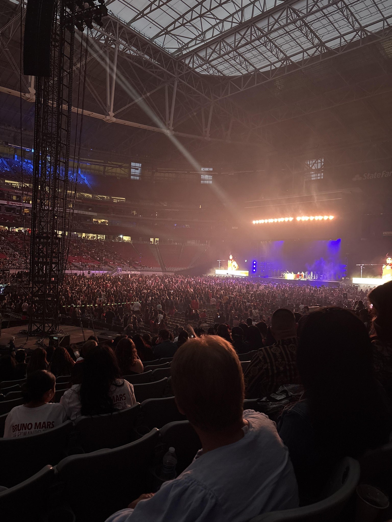 Real Fan View taken from Section 110 at State Farm Stadium by Ruby F