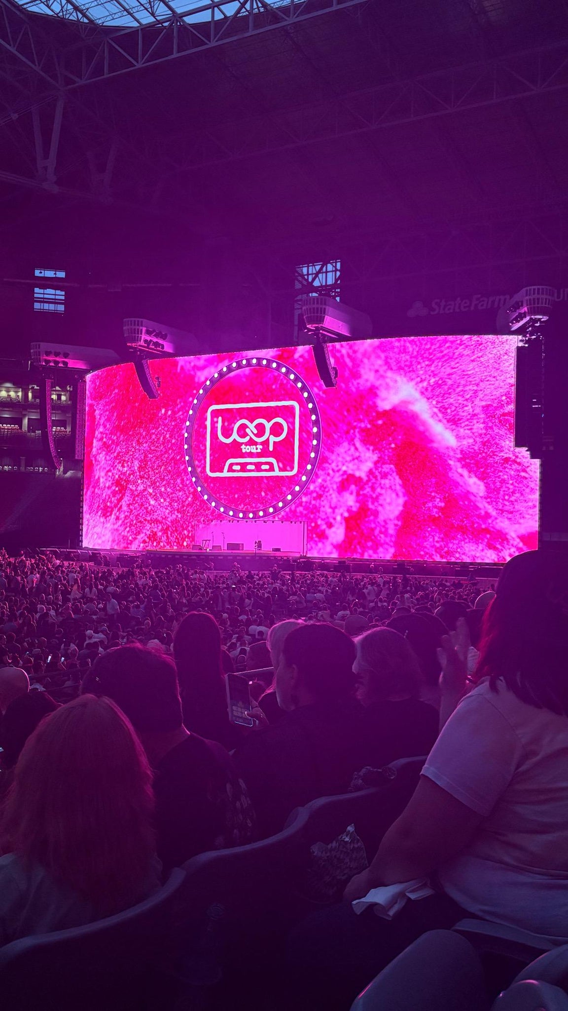 Real Fan View taken from Section 110 at State Farm Stadium by Sabrina M