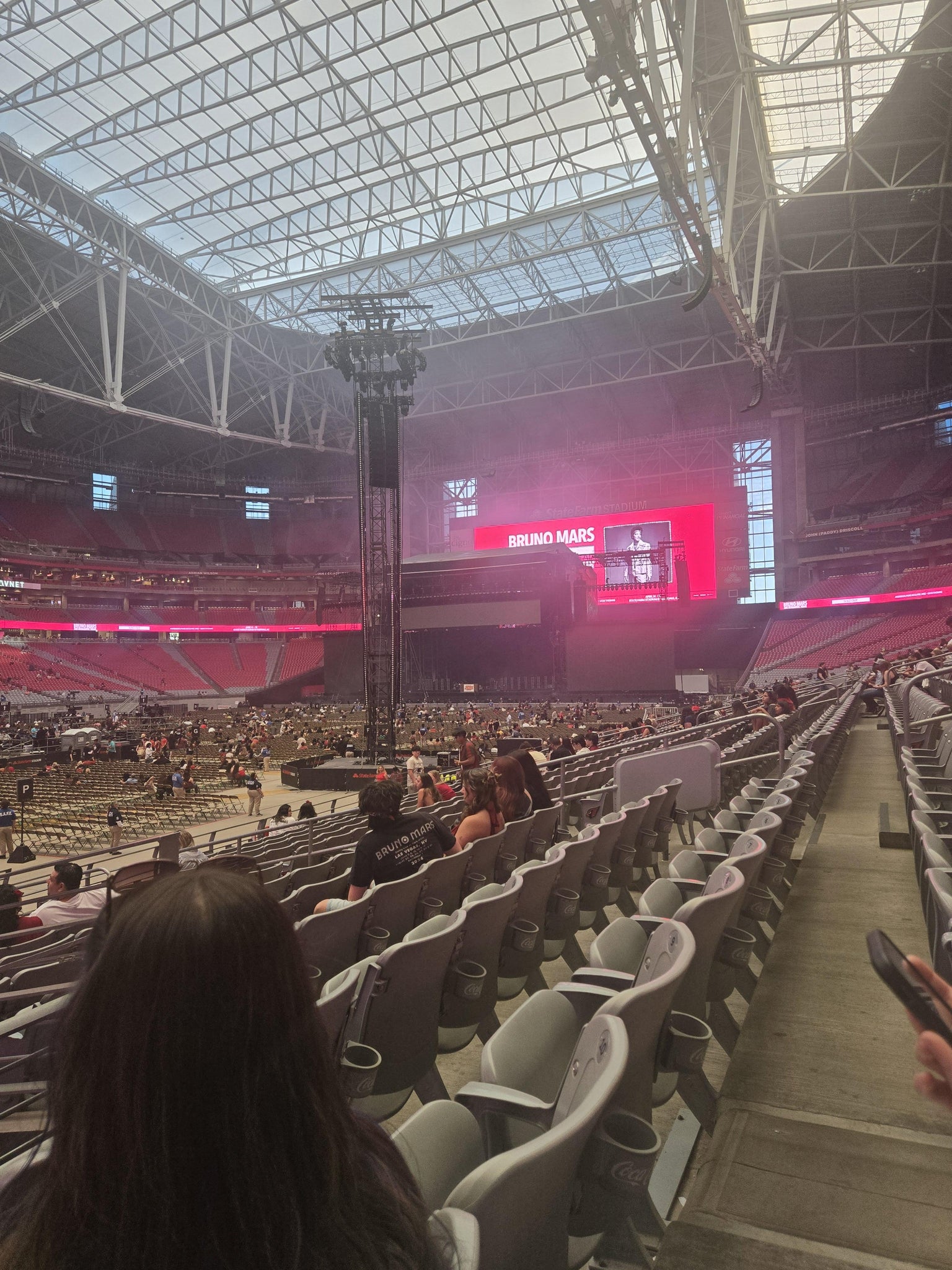 Real Fan View taken from Section 113 at State Farm Stadium by Nereida L