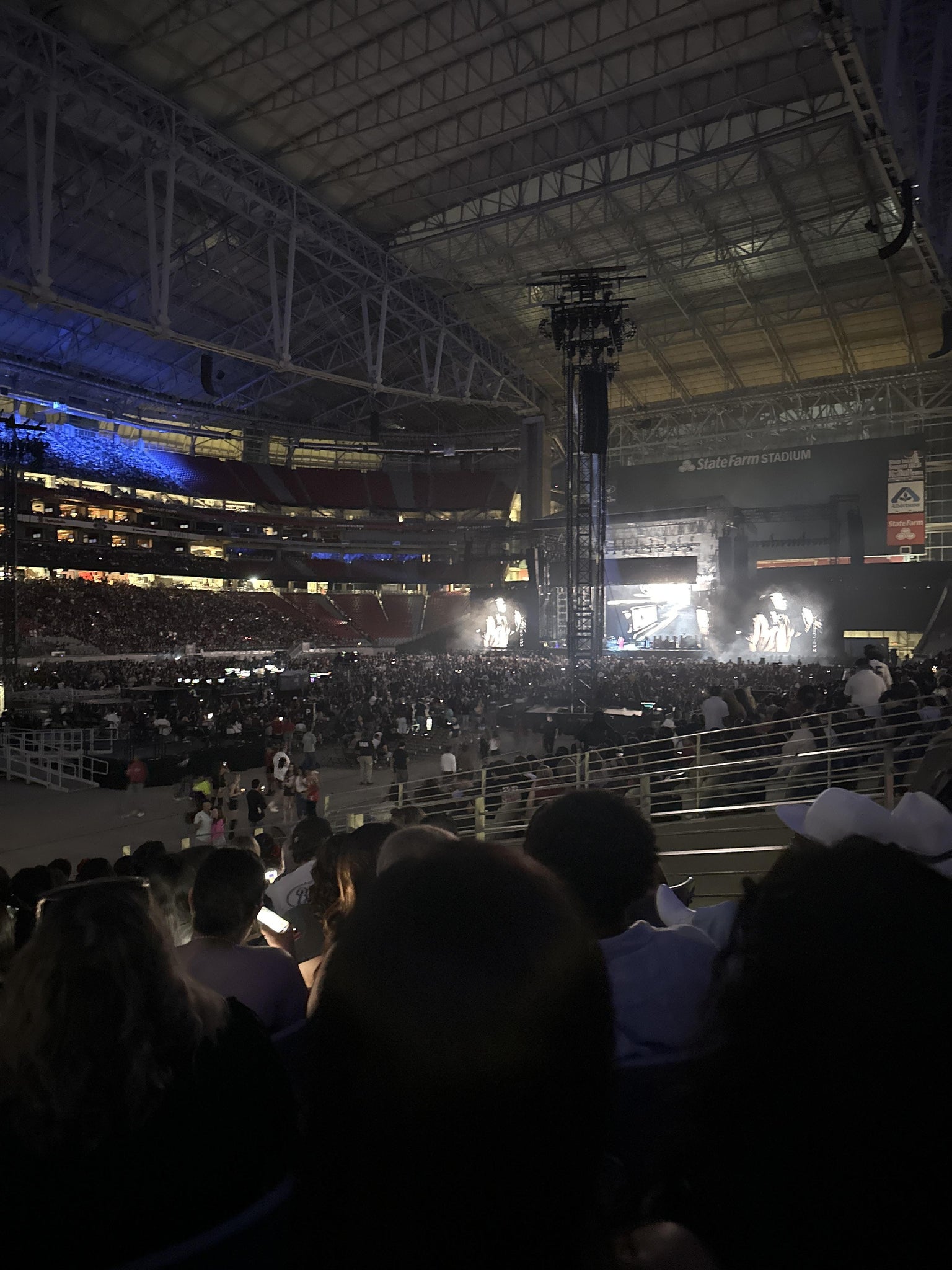 Real Fan View taken from Section 113 at State Farm Stadium by Laila R