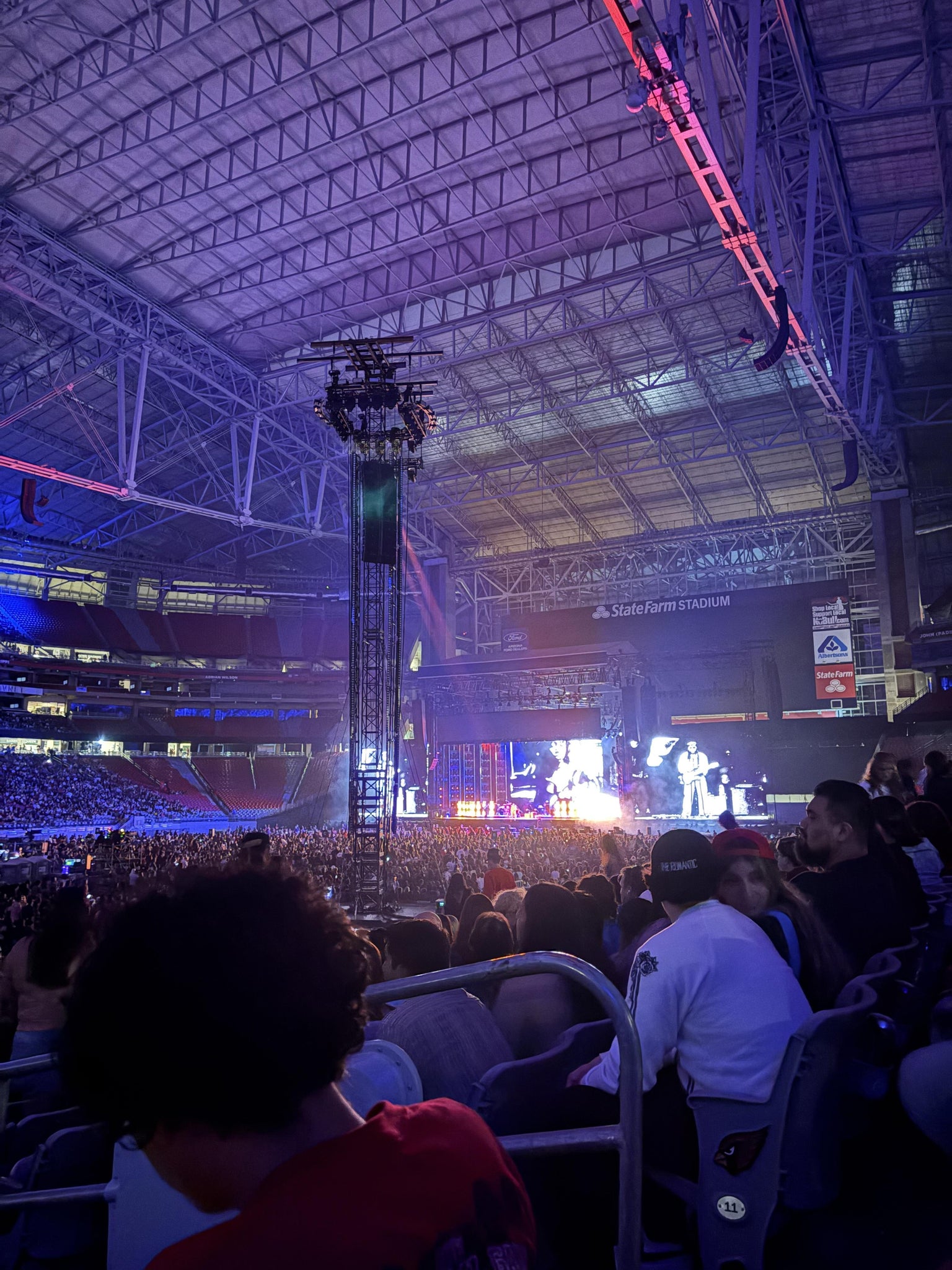 Real Fan View taken from Section 113 at State Farm Stadium by Giselle P