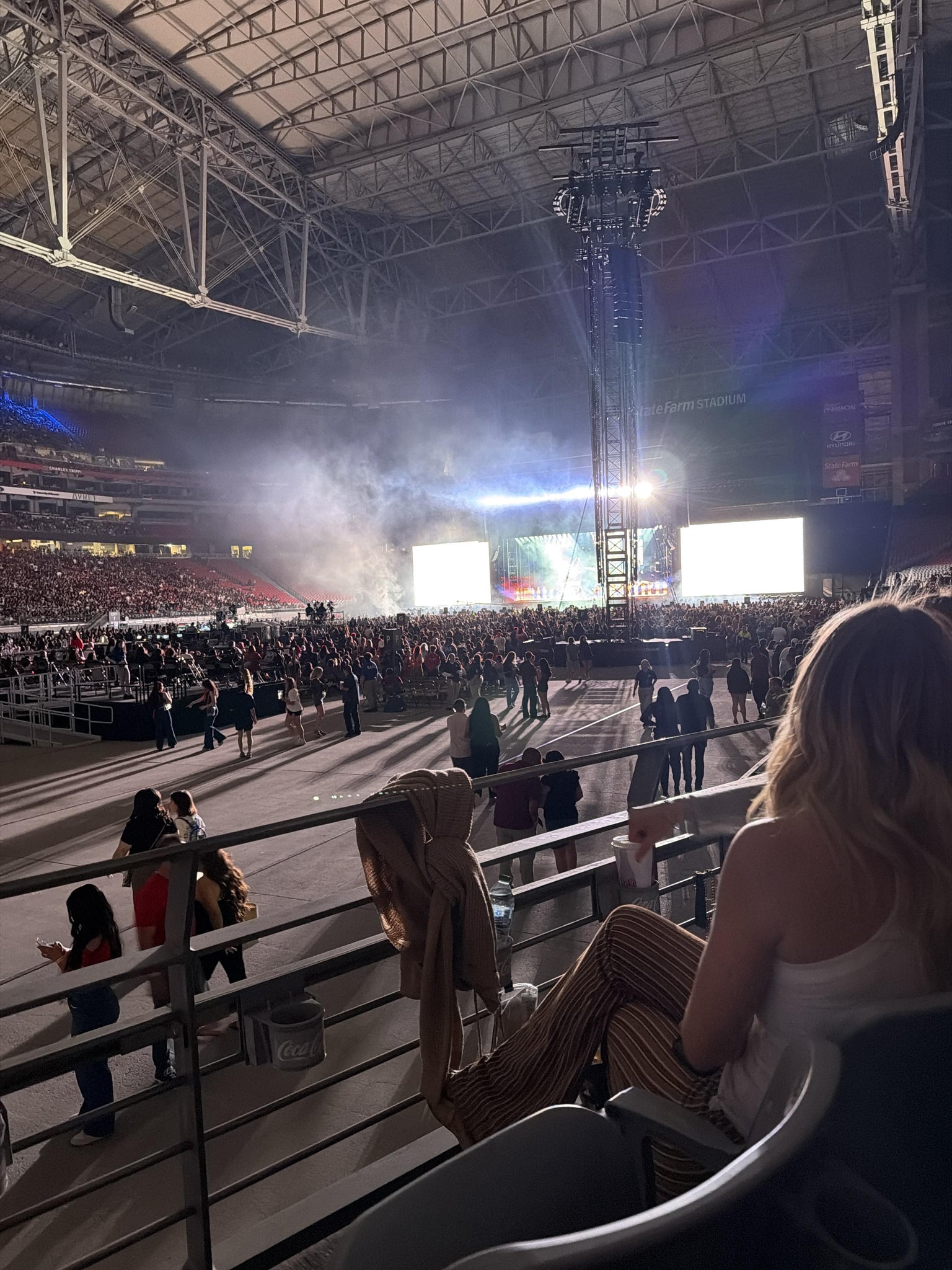 Real Fan View taken from Section 113 at State Farm Stadium by Roselyn P