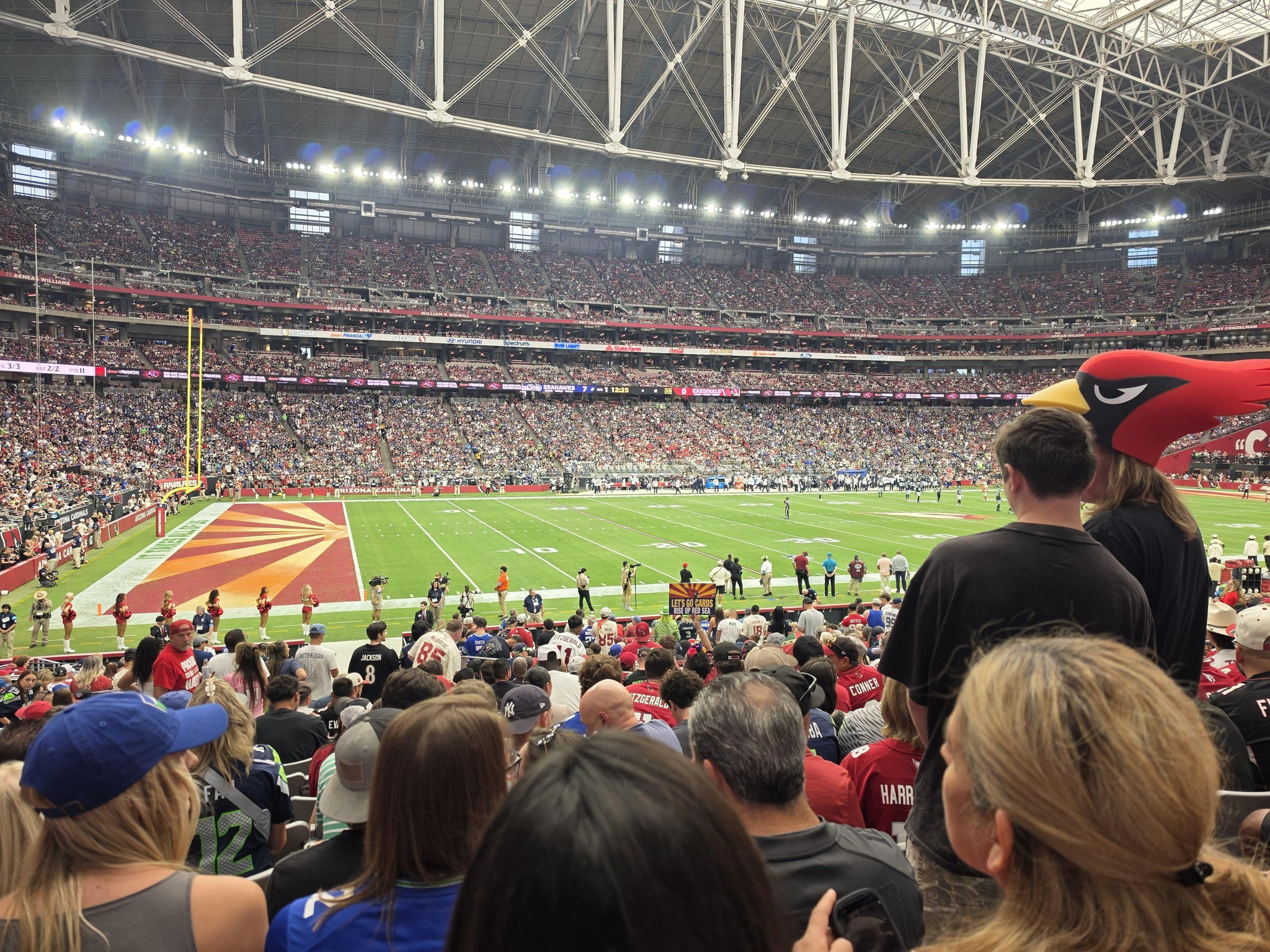 Real Fan View taken from Section 113 at State Farm Stadium by Dawn A