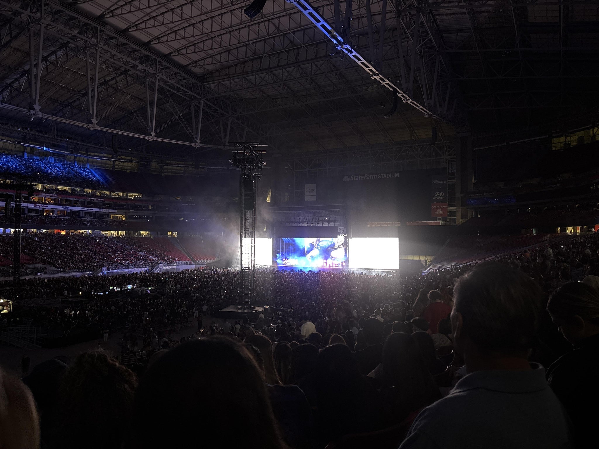 Real Fan View taken from Section 113 at State Farm Stadium by Memo C