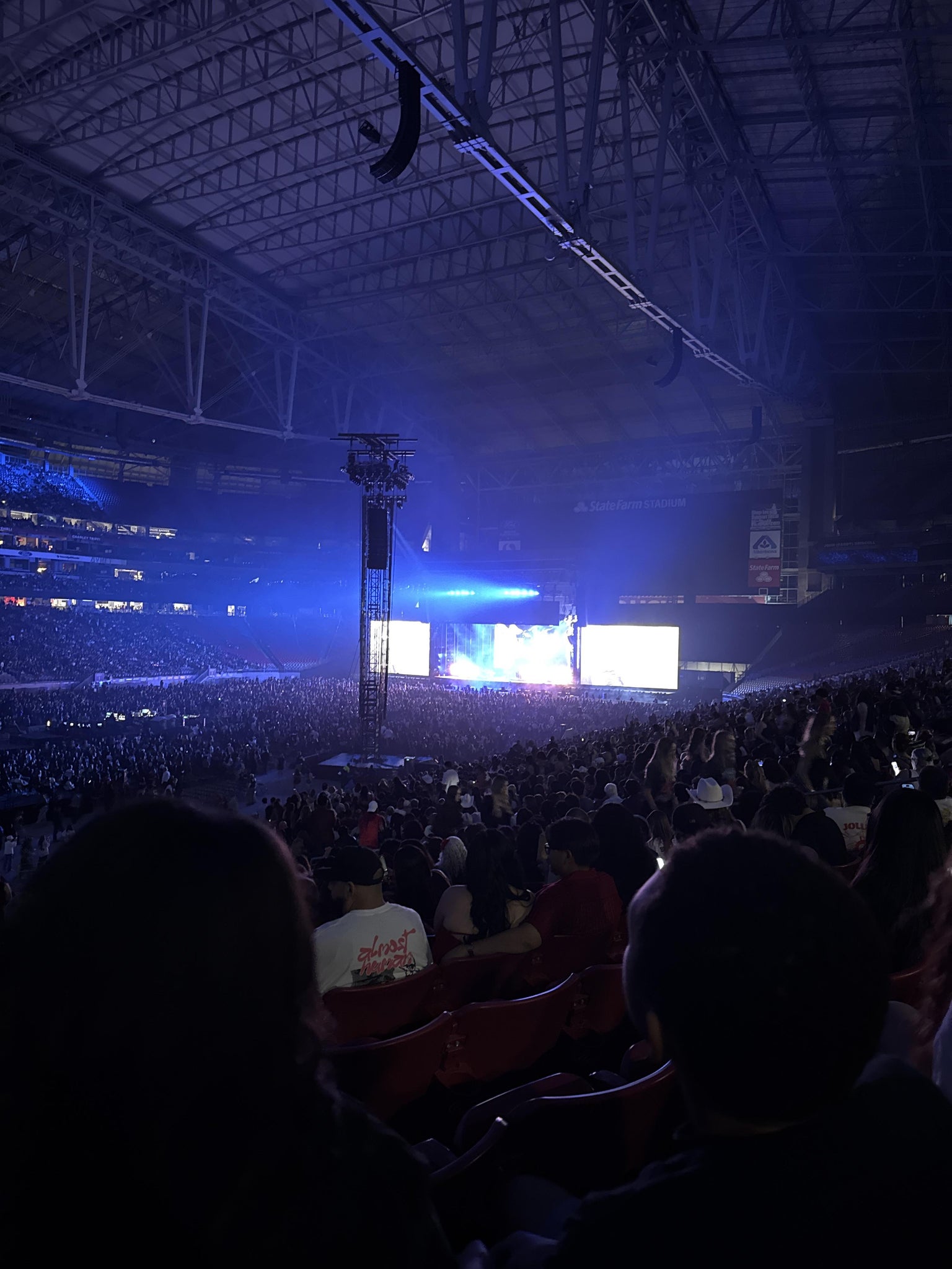 Real Fan View taken from Section 113 at State Farm Stadium by Joanna V