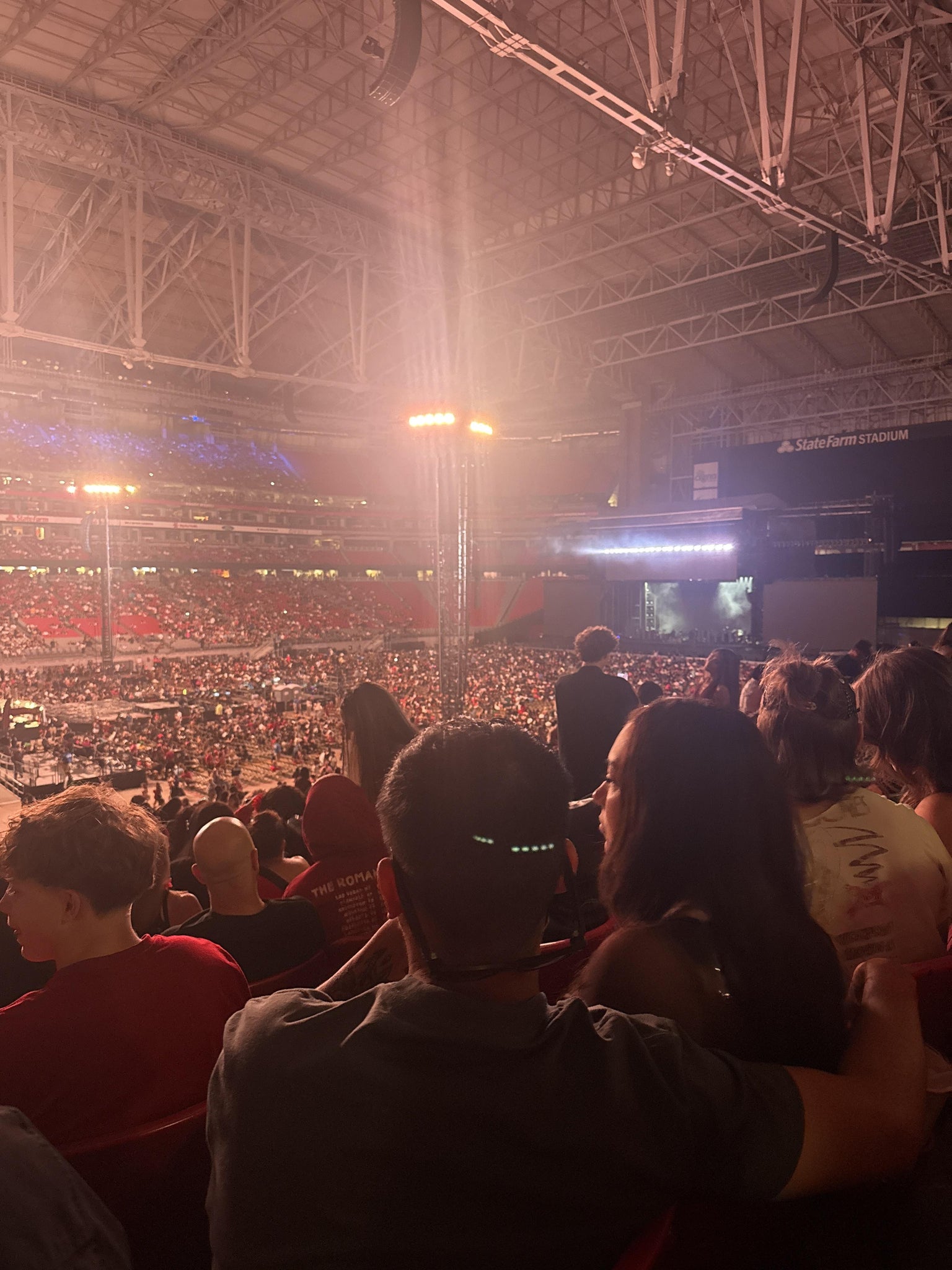 Real Fan View taken from Section 113 at State Farm Stadium by Erin H