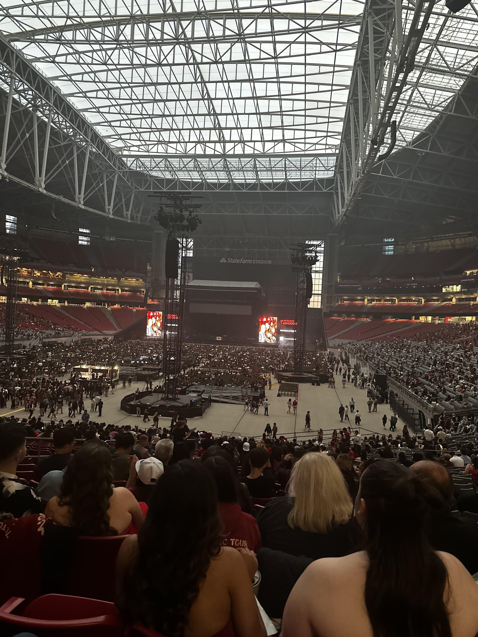 Real Fan View taken from Section 116 at State Farm Stadium by Denise M